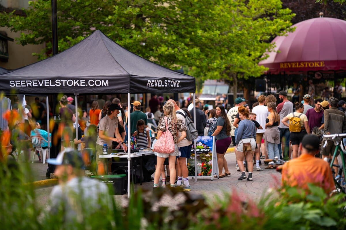 music in the plaza mid summer