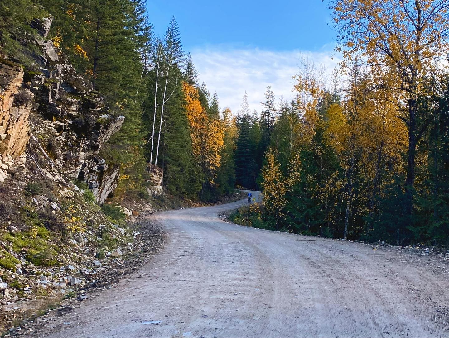 winding road during fall
