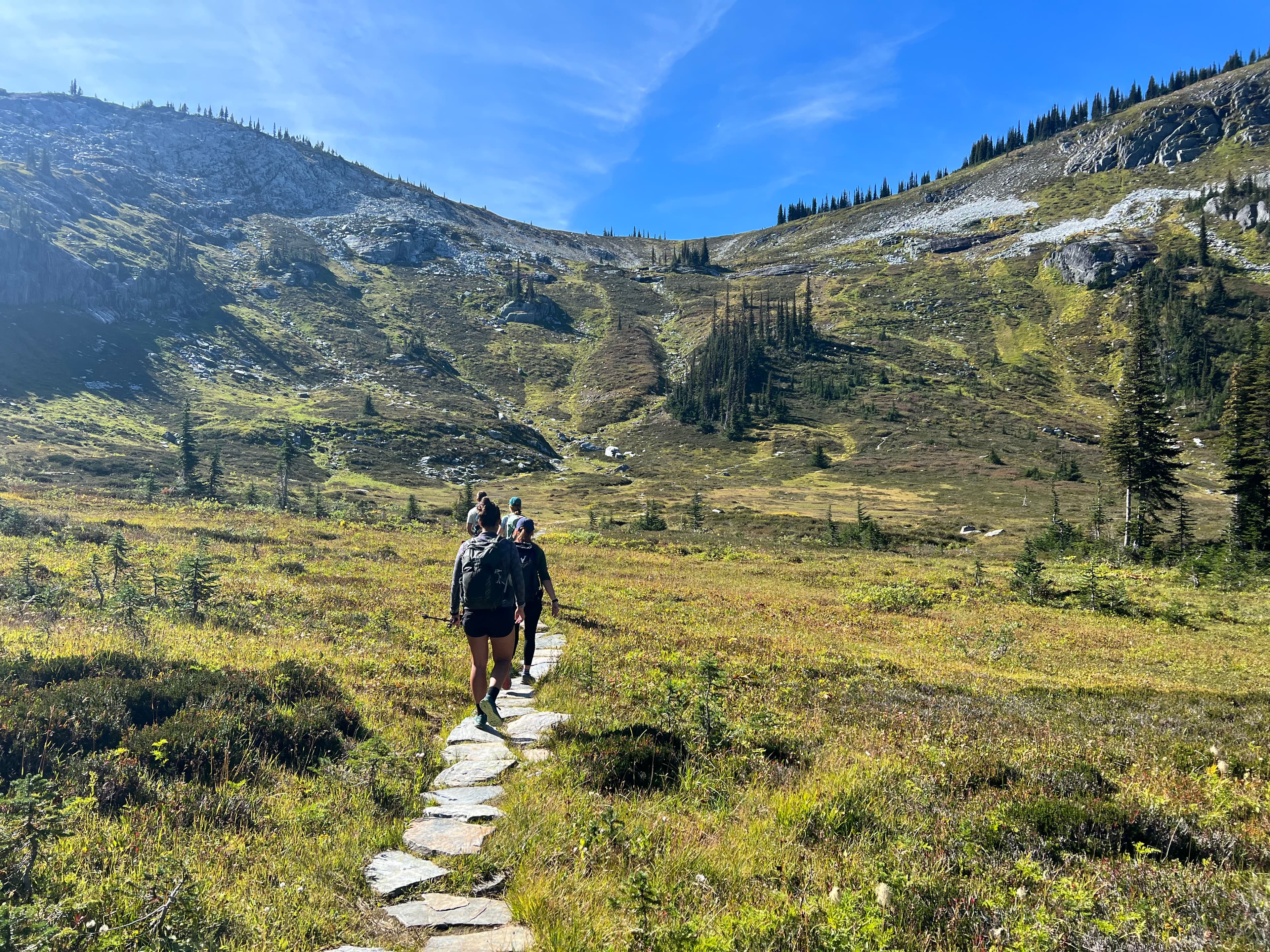group hiking in alpine meadow towards summit