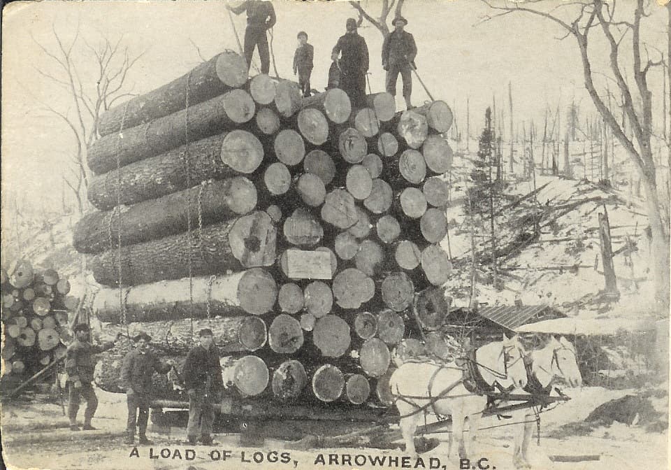 load of logs