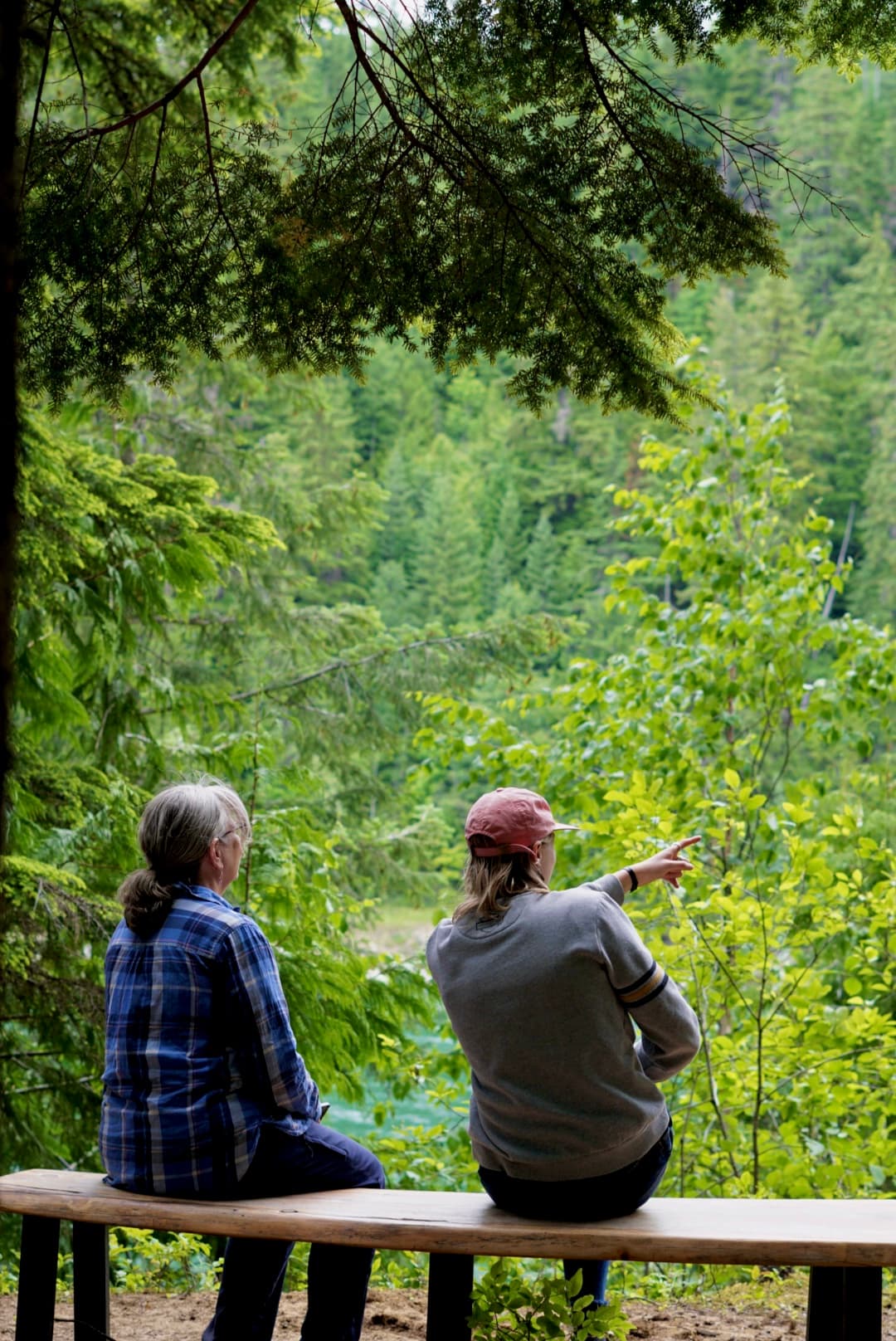 Interpreted Forest Walk - 15-08-26