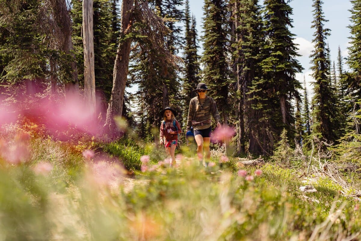family hiking with wildflowers in foreground