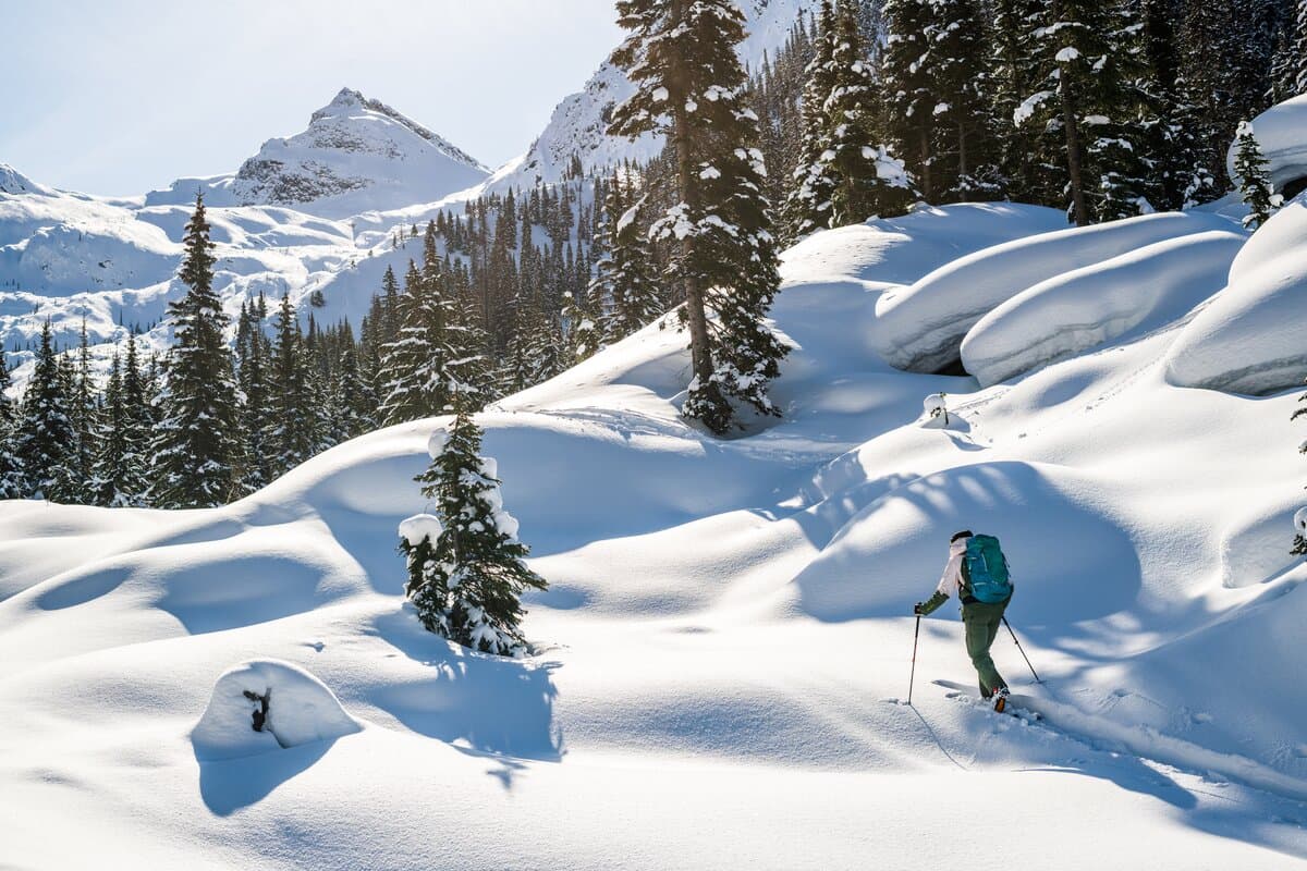 Tourism Revelstoke Guides
