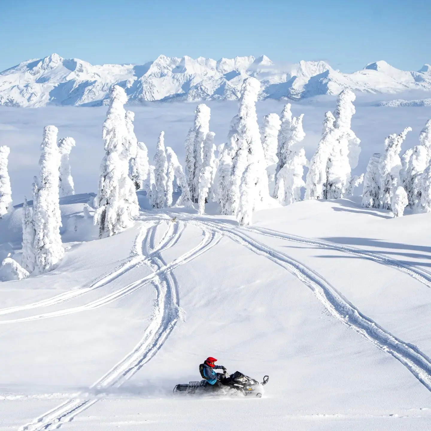 sledder turning in light powder conditions on blue bird day