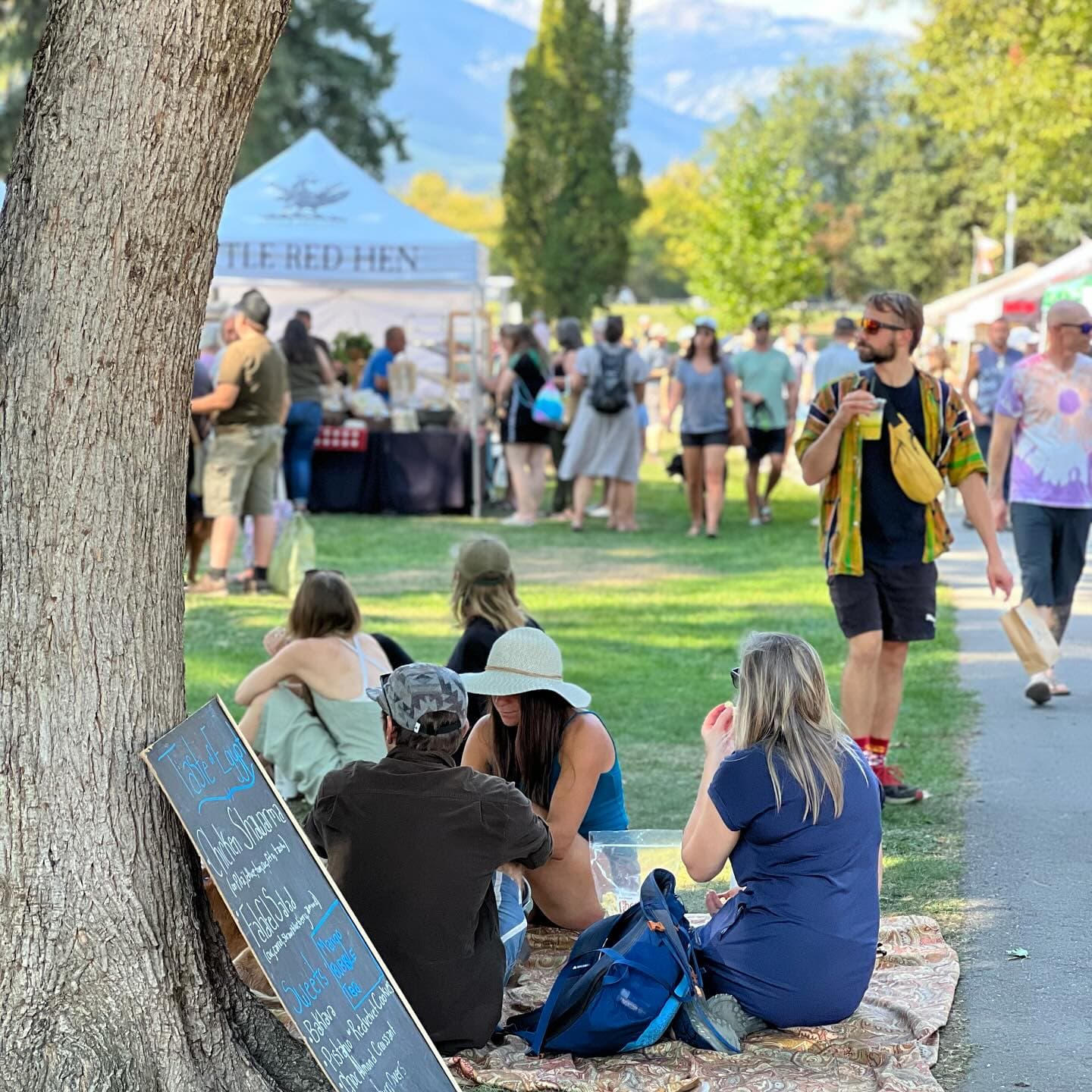 people sitting on grass