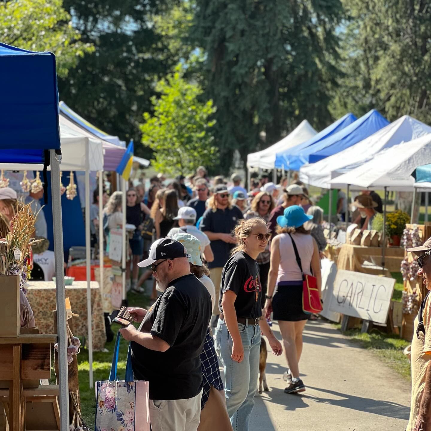 market stands and vendors