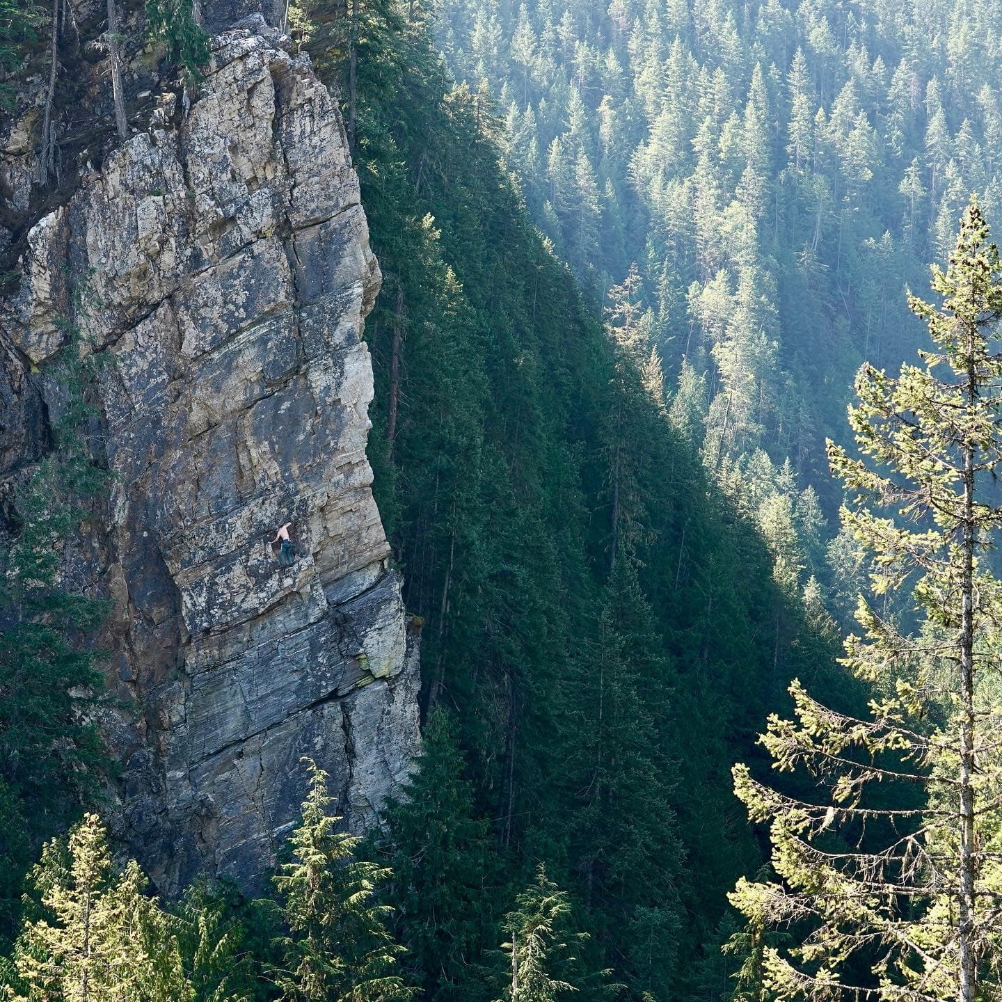 guy climbing up wall next to forested mountains