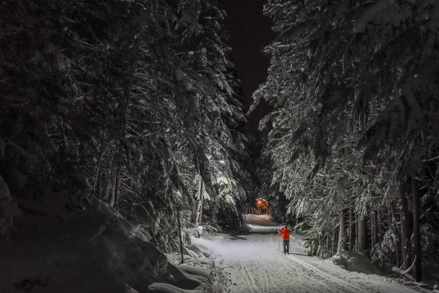 one person cross country skiing at night