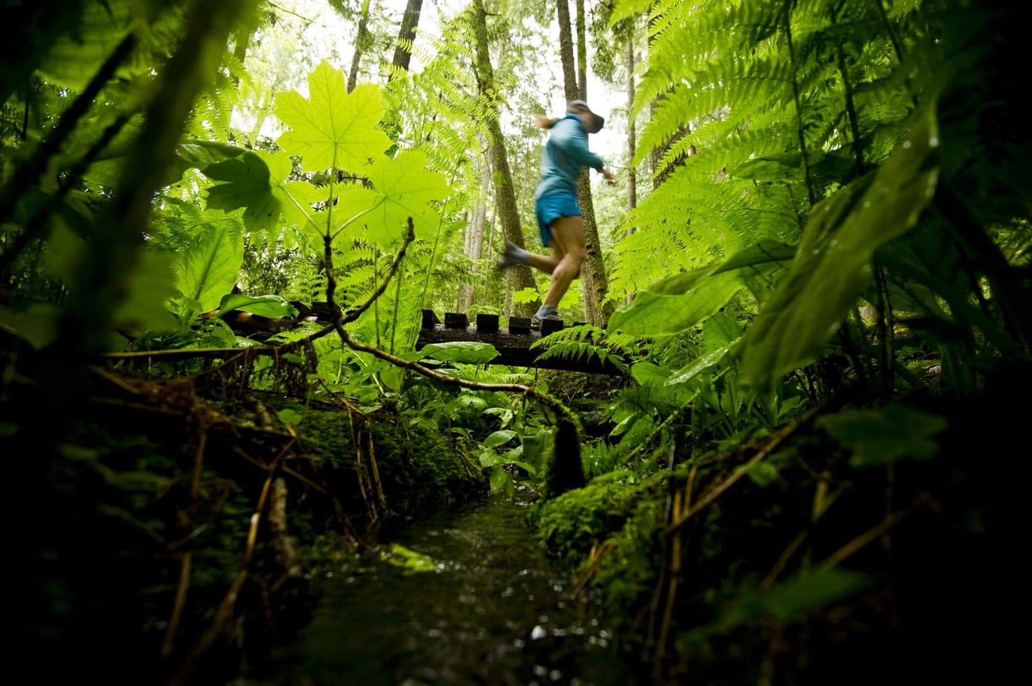 running through the rainforest