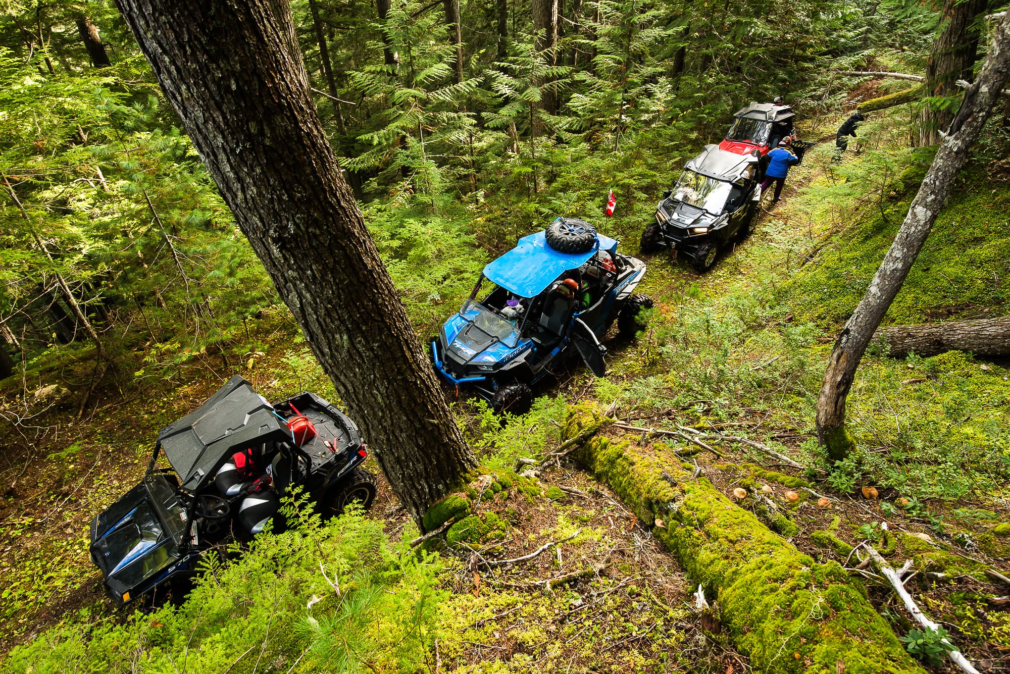 ground of atvs on a forest service road in the rainforest