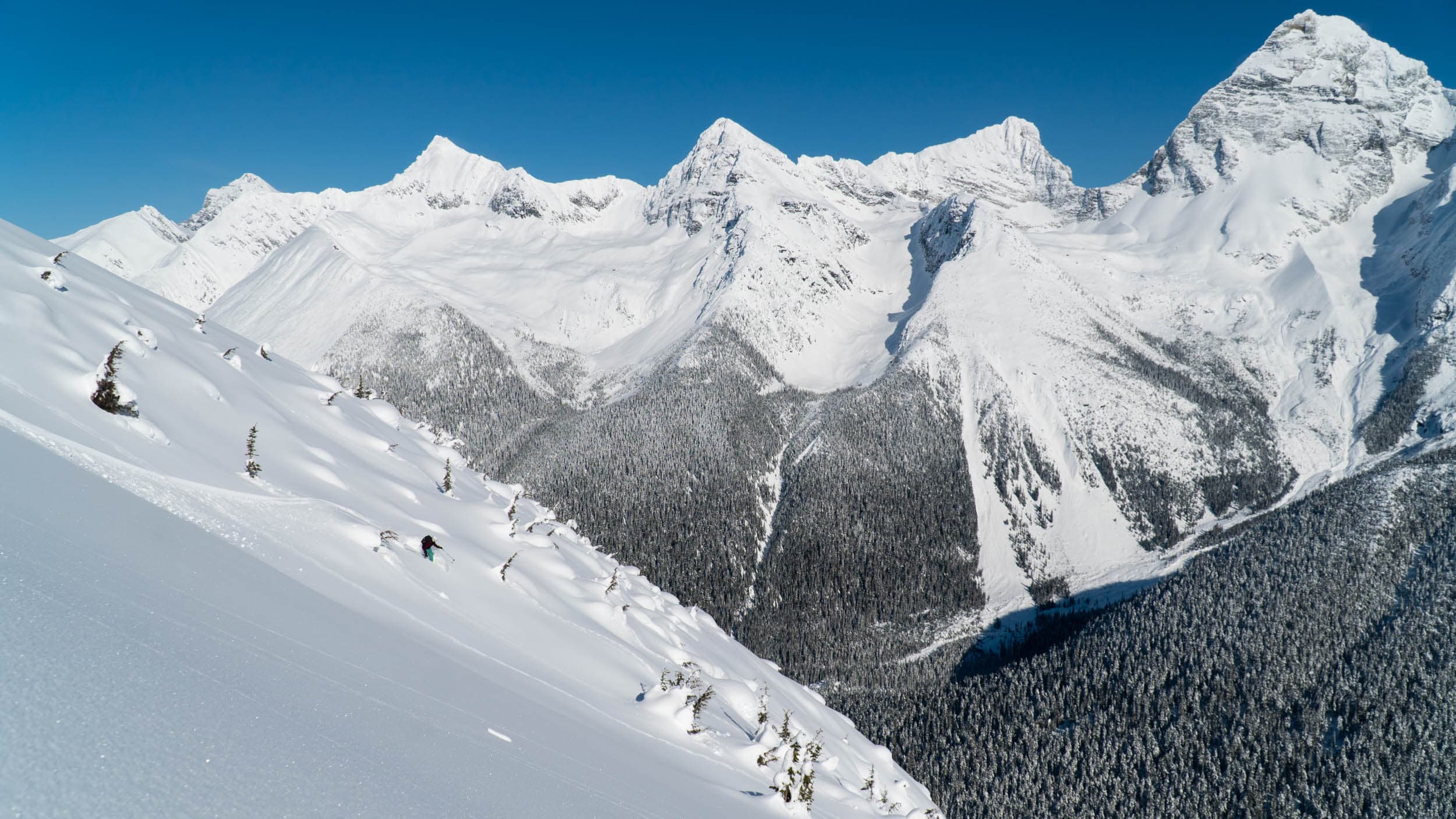 Tourism Revelstoke Guides