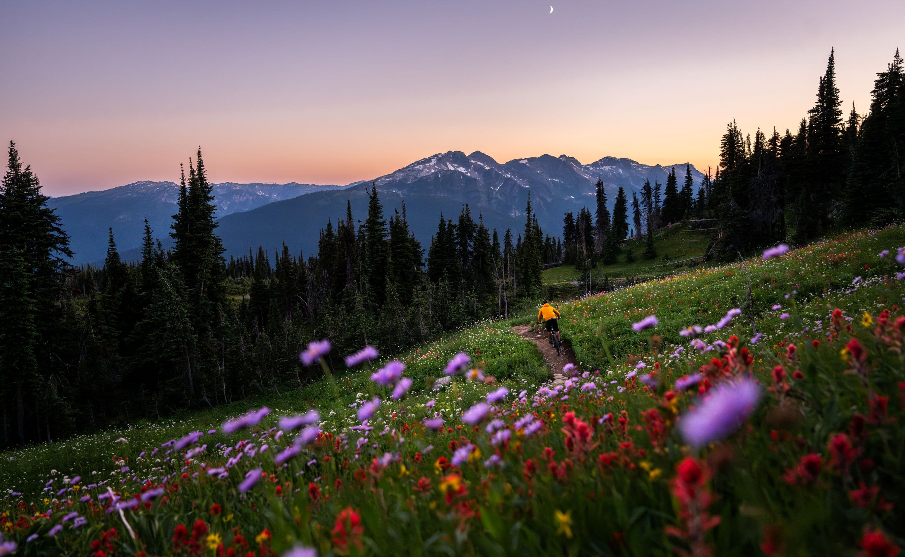 Cyclist in yellow jacket rides a narrow trail through wildflower meadow toward tree-lined mountains at sunset.