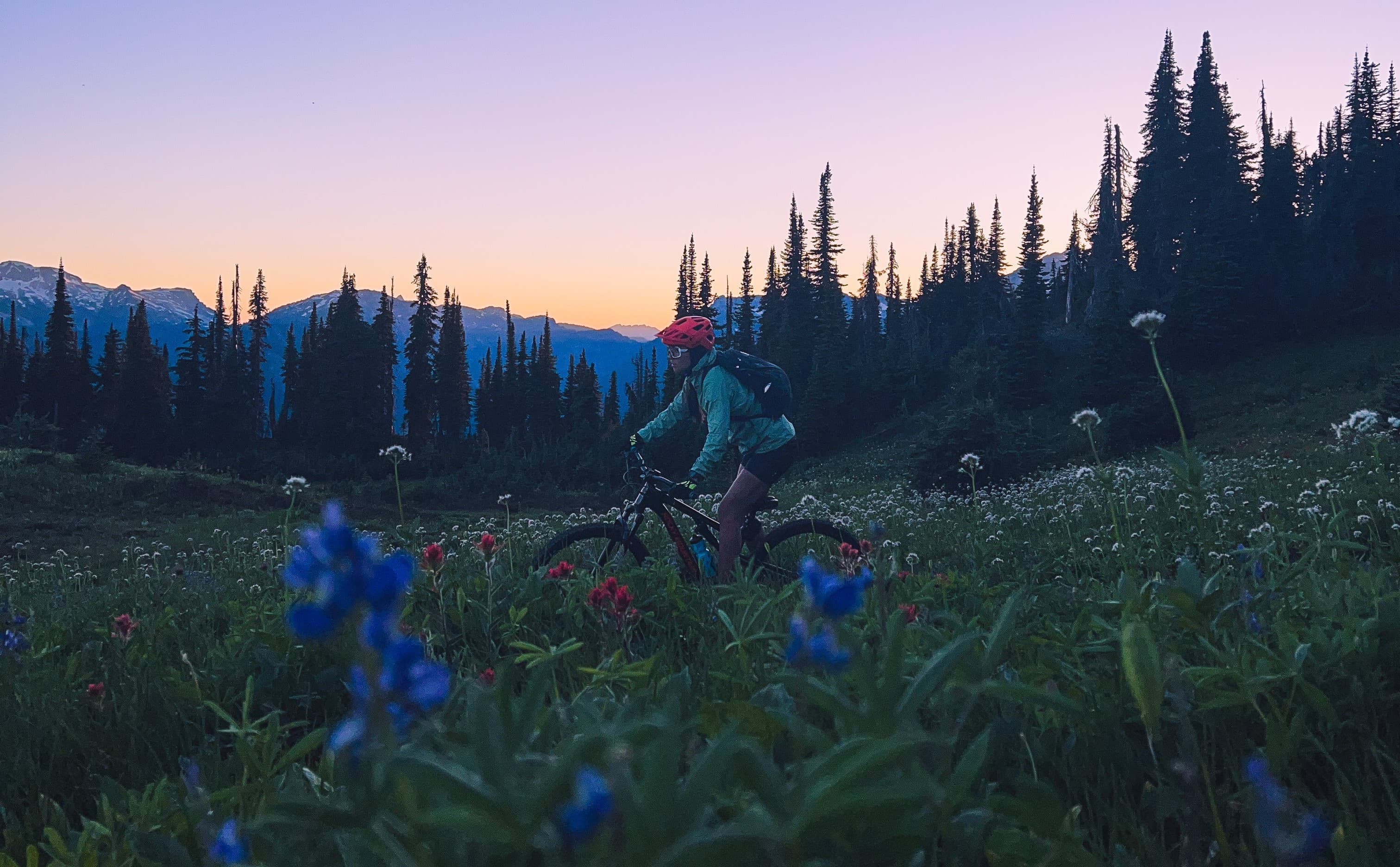 Tourism Revelstoke Guides