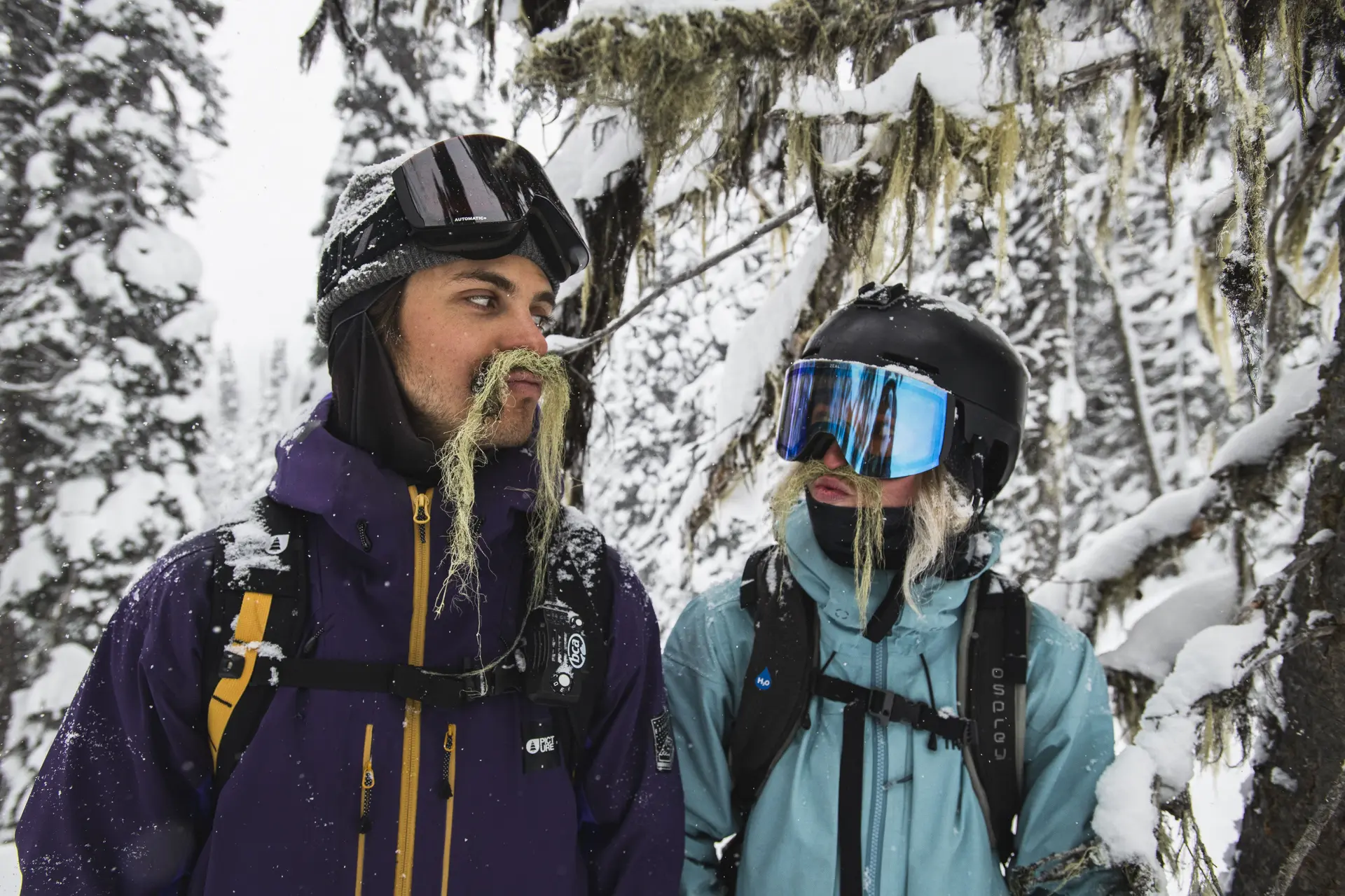 lichen moustache backcountry touring old growth