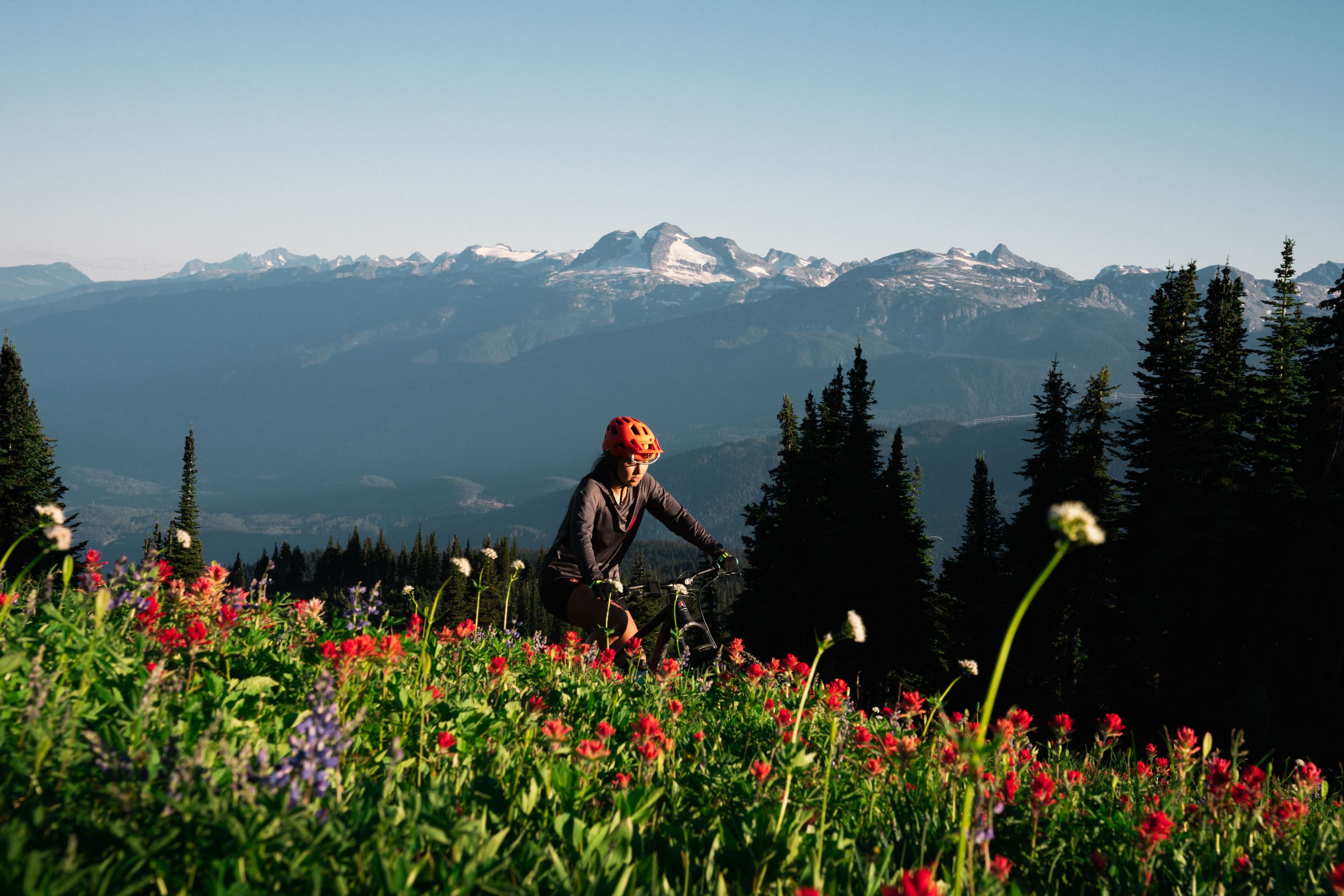 girl mountain biking through wildflowers