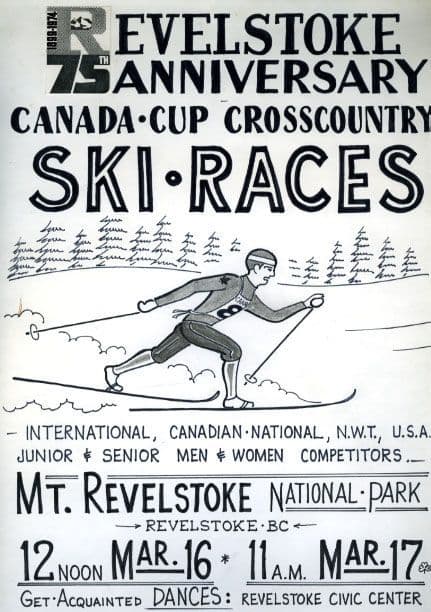 nordic race poster - heritage