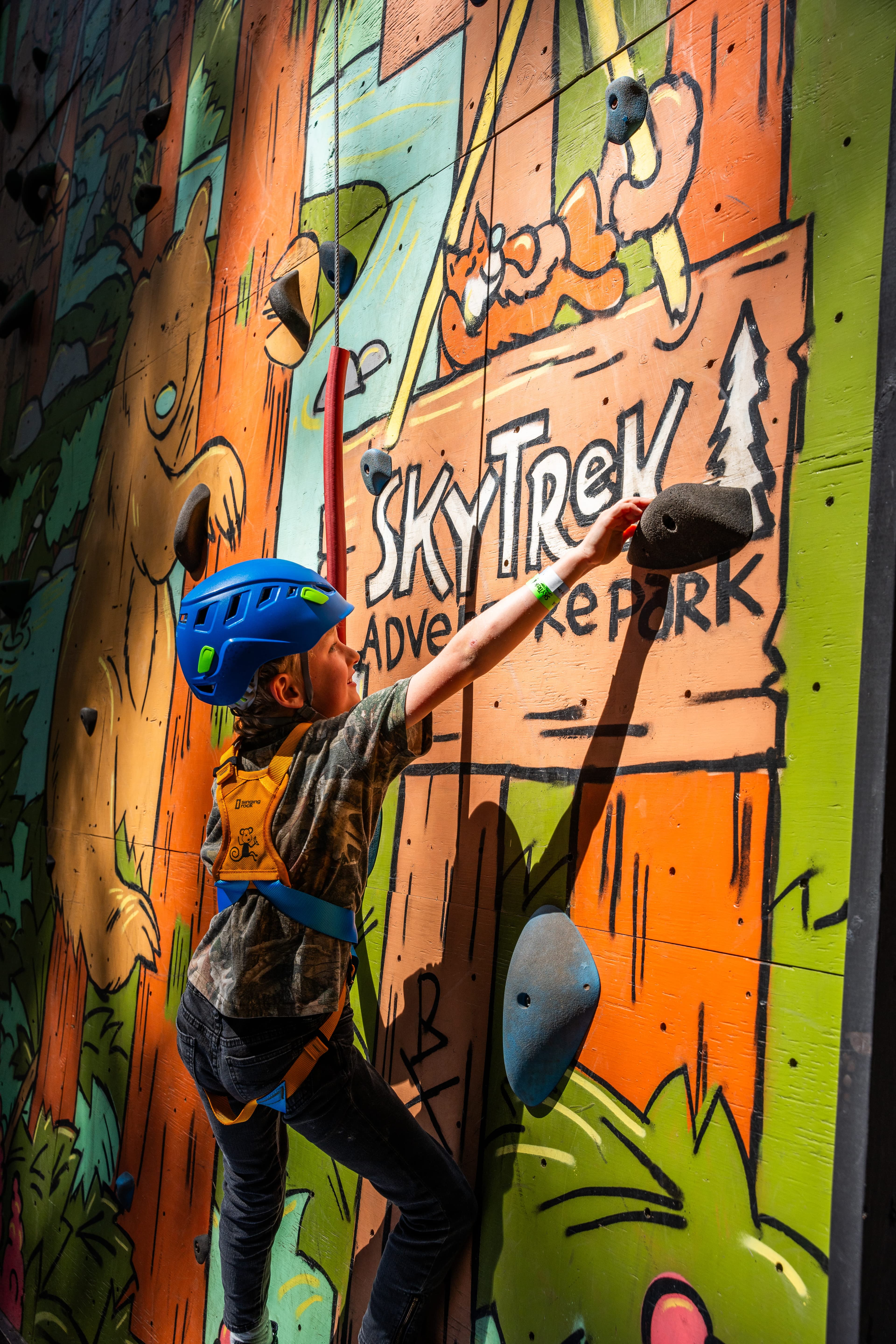 Child in a blue helmet climbing a colorful rock wall with woodland illustrations at SkyTrek Adventure Park.