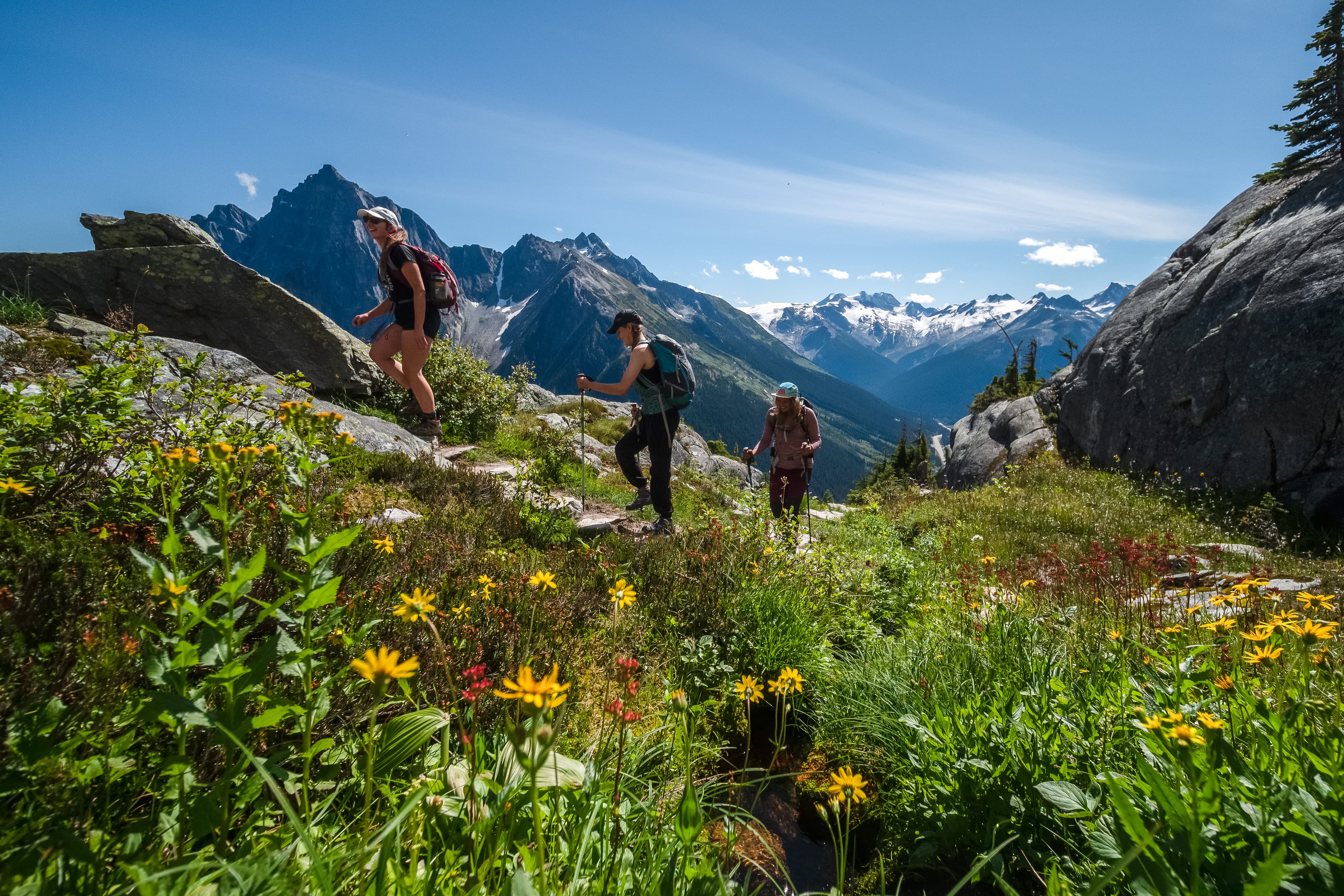 alpine hiking amongst wildflowers