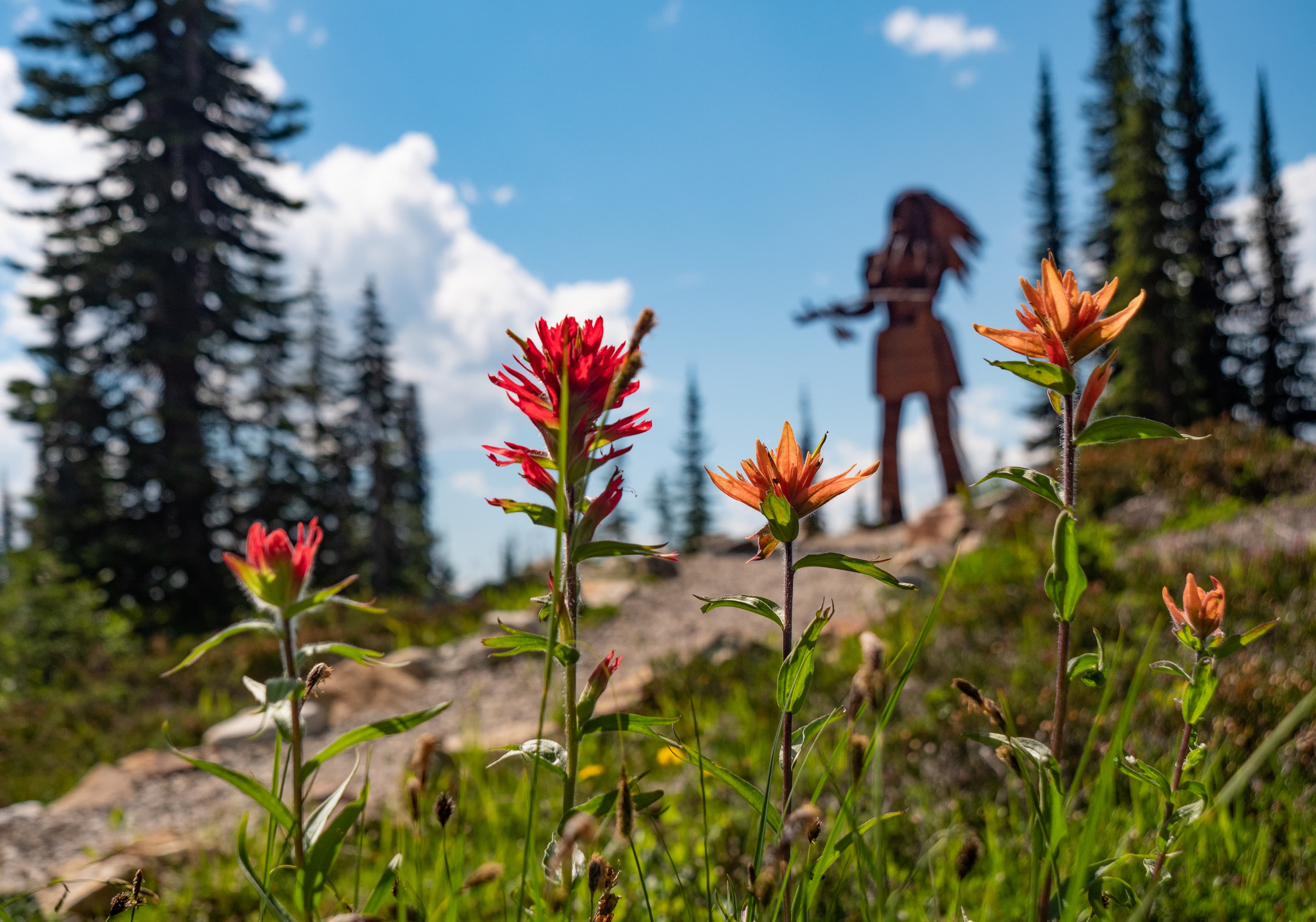 Tourism Revelstoke Guides