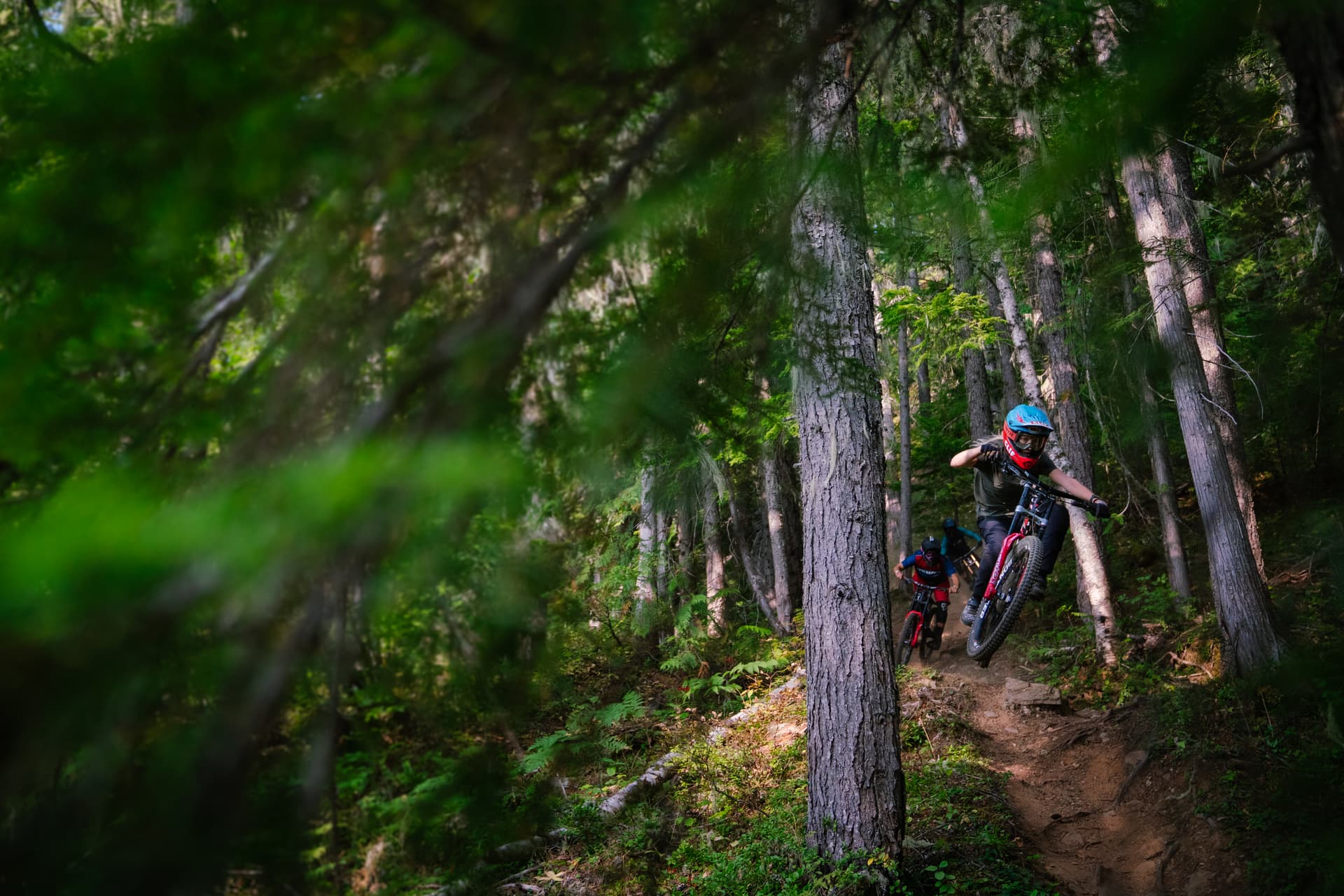 a mountain biker takes off a jump between two trees