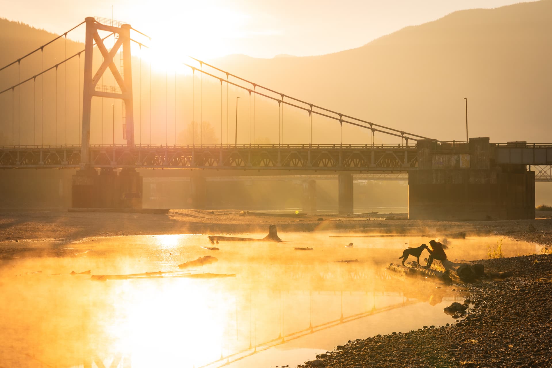 dog and owner sitting near bridge