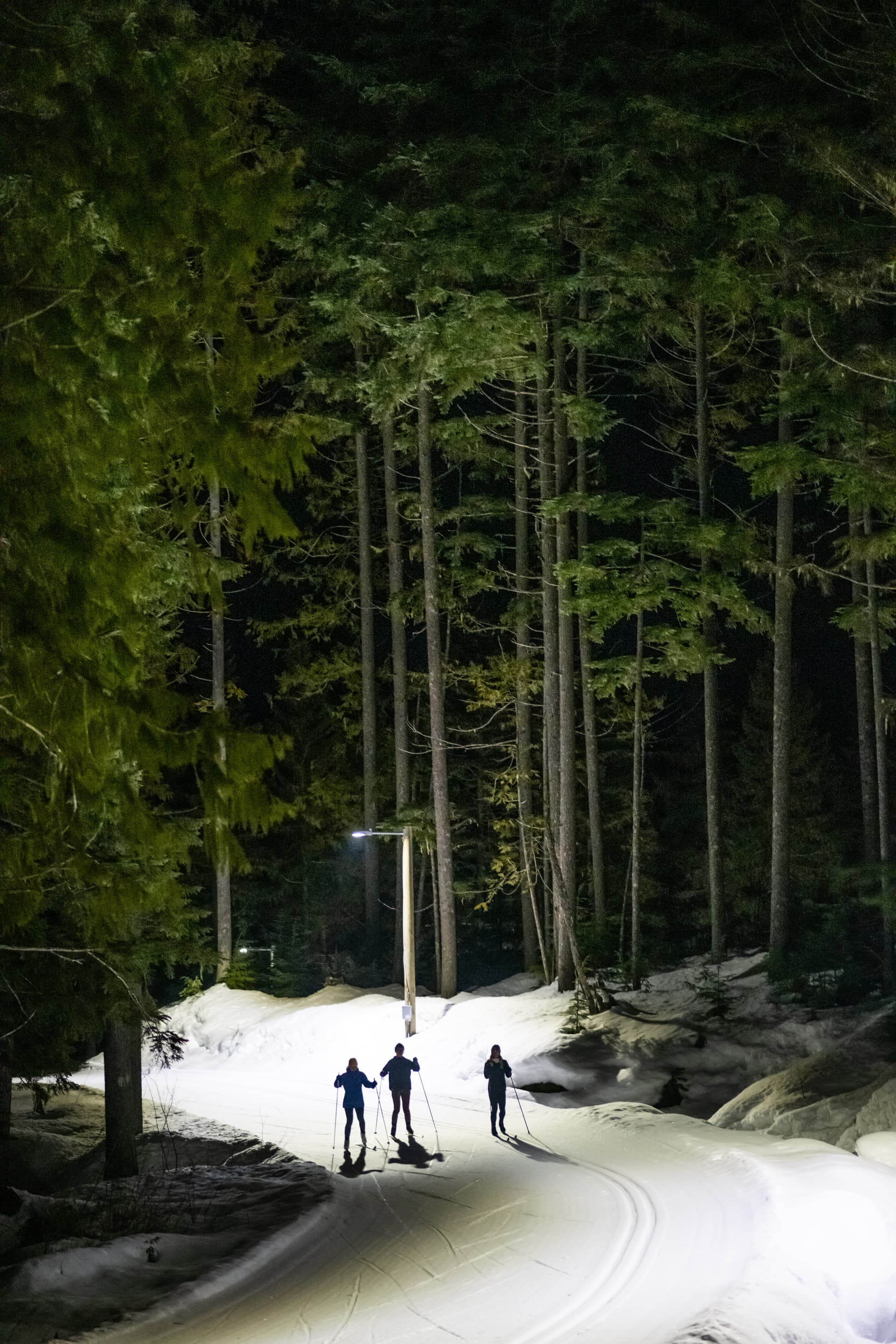 group of three cross country skiing at night