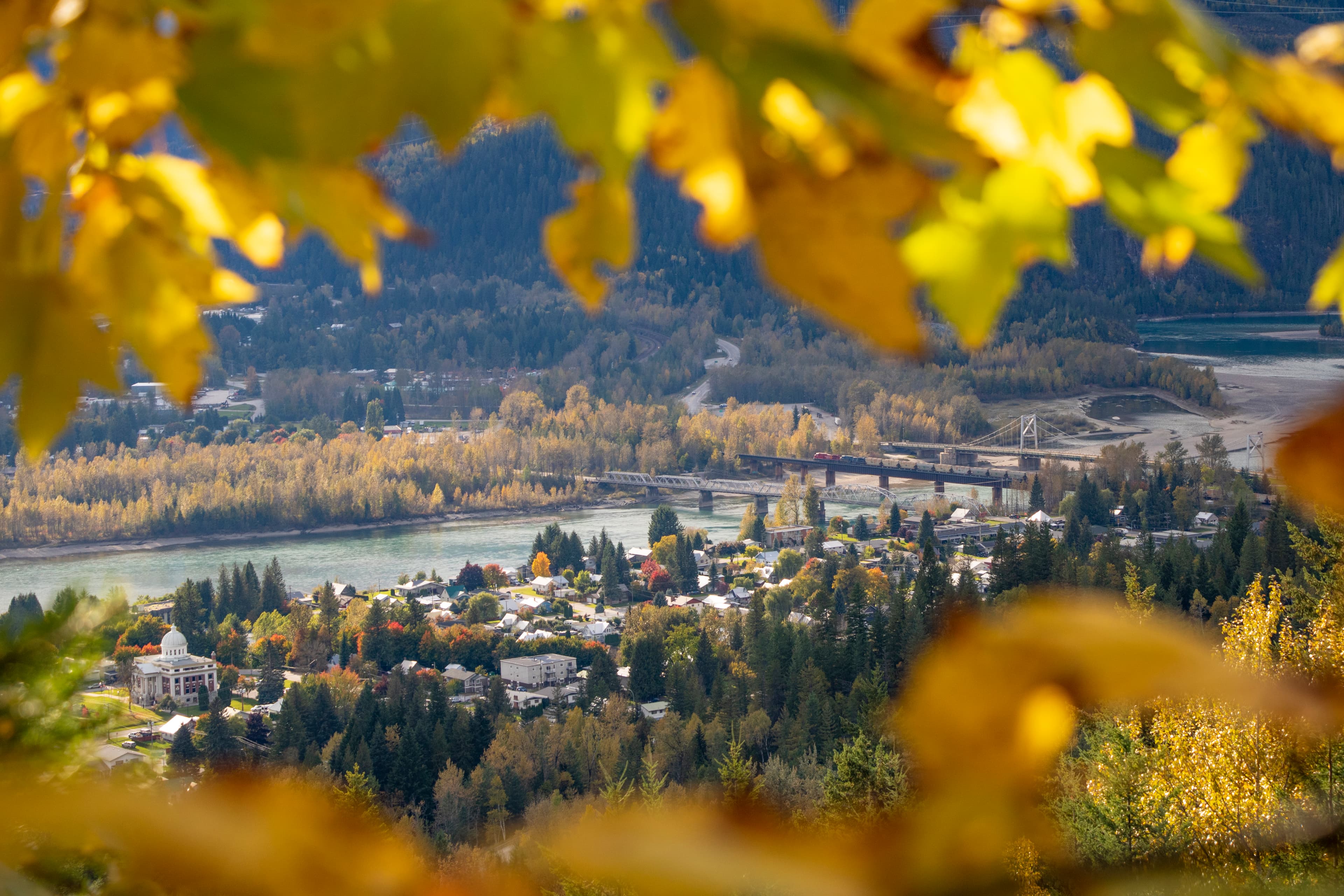 downtown Revelstoke peaks through some out-of-focus yellow leaves