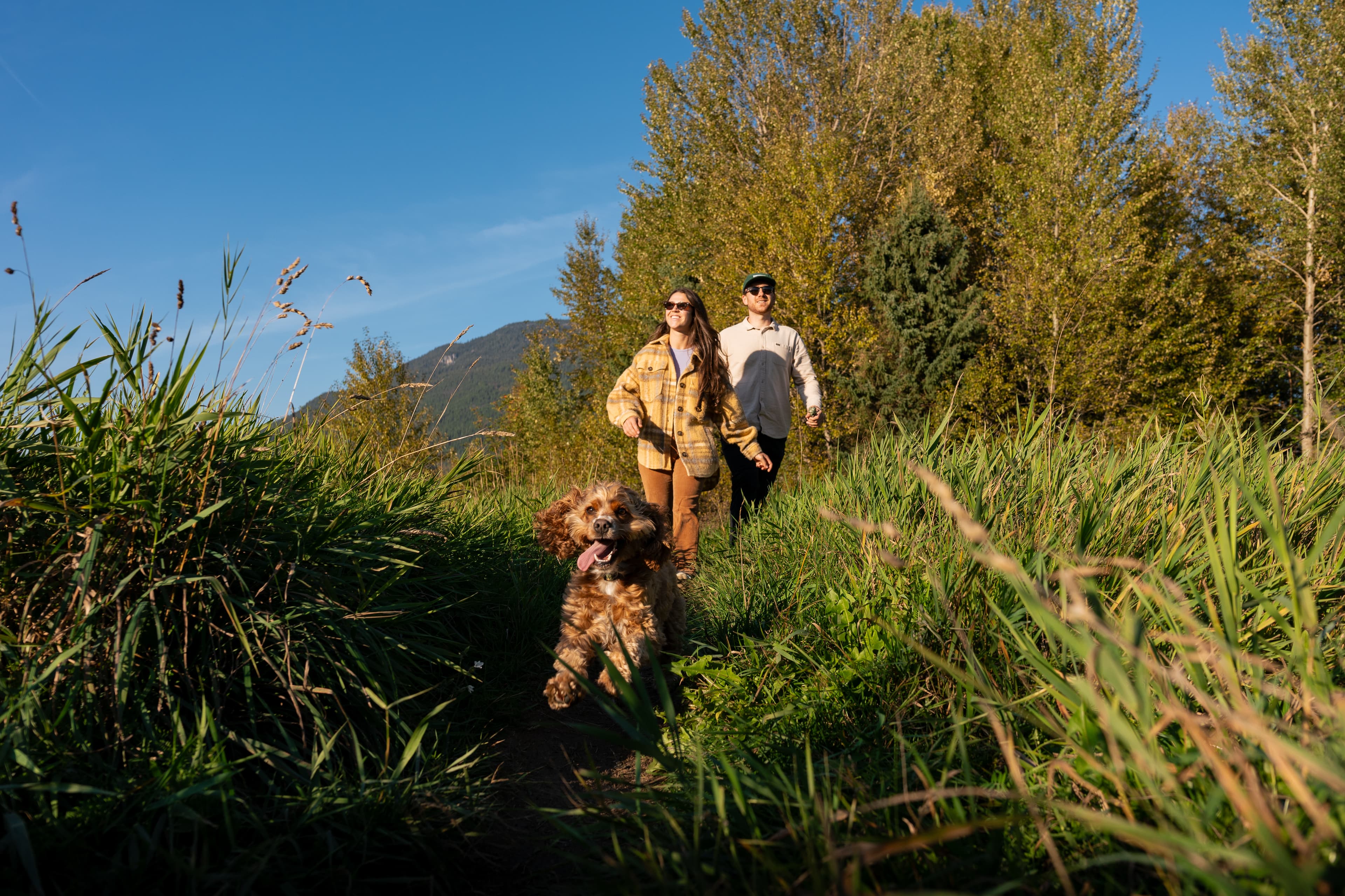 Couple walking dog at sunset on greenbelt trails