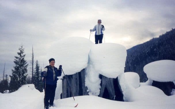 nordic skiing on top of large logging cut blocks