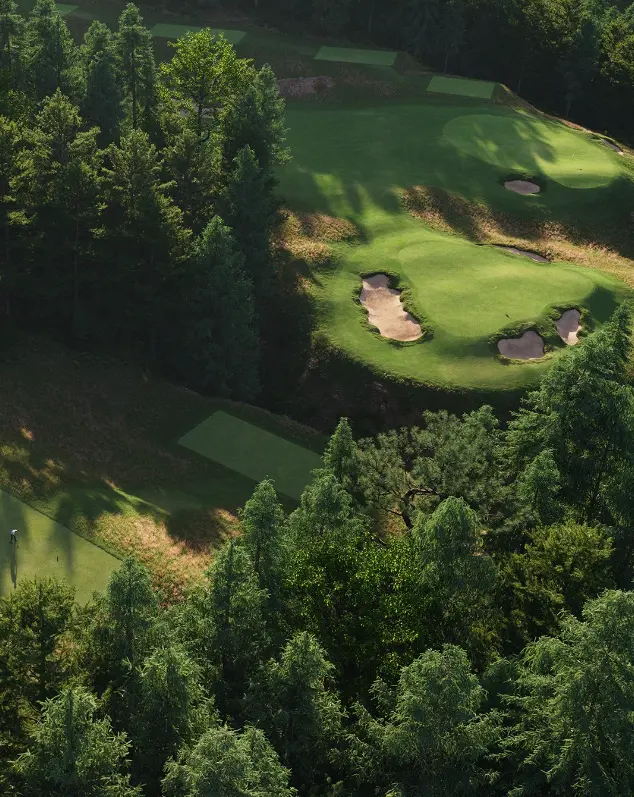 rendering of golf greens