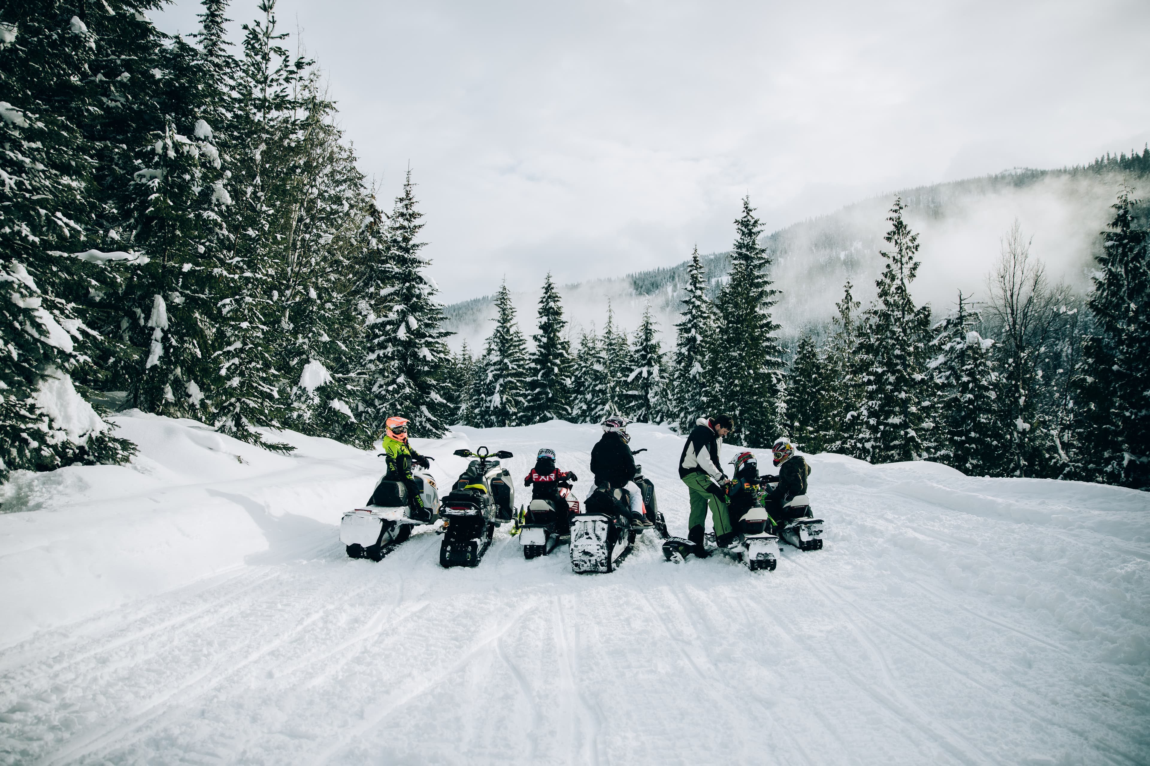family on sleds on groomed road
