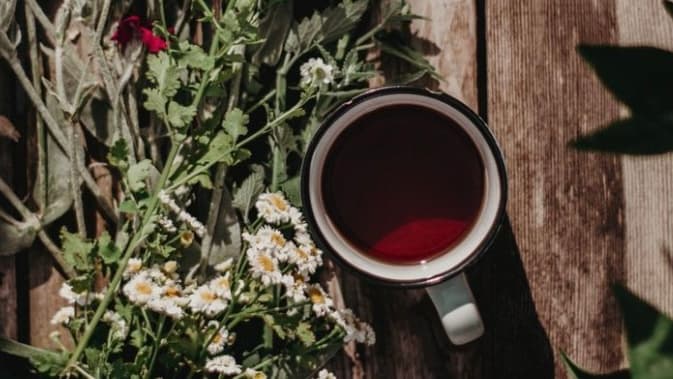 REVEL & FEAST: A botanical Workshop - 16-10-26