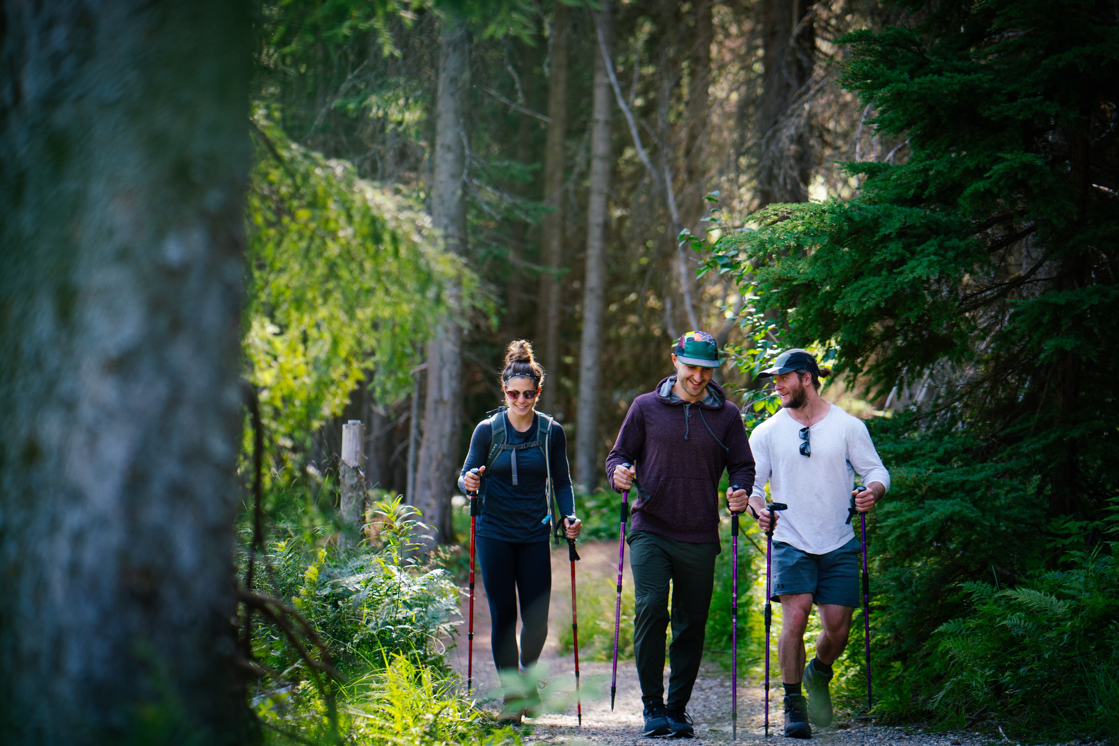 group of three hiking with poles on wide path