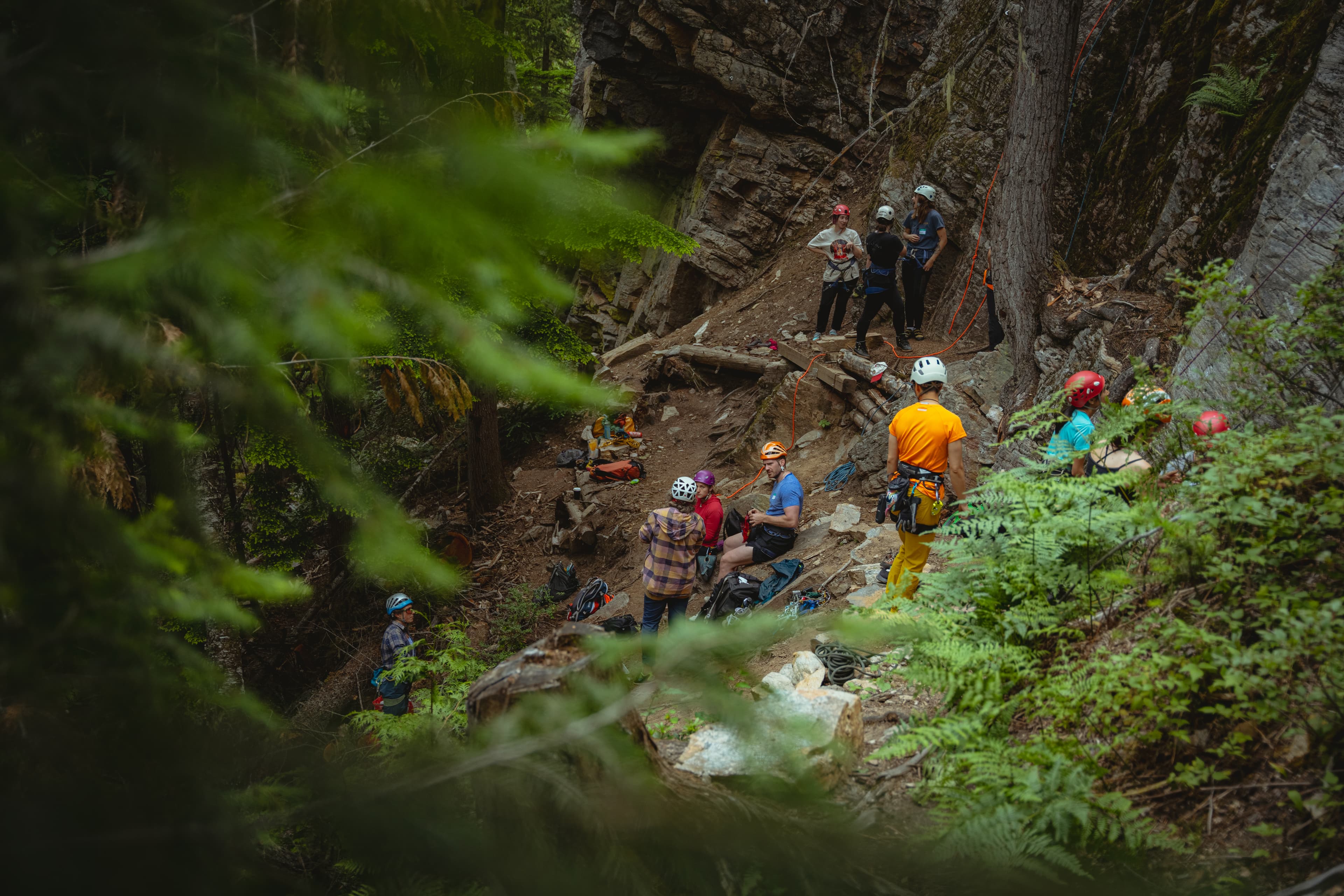 large group climbing in rainforest