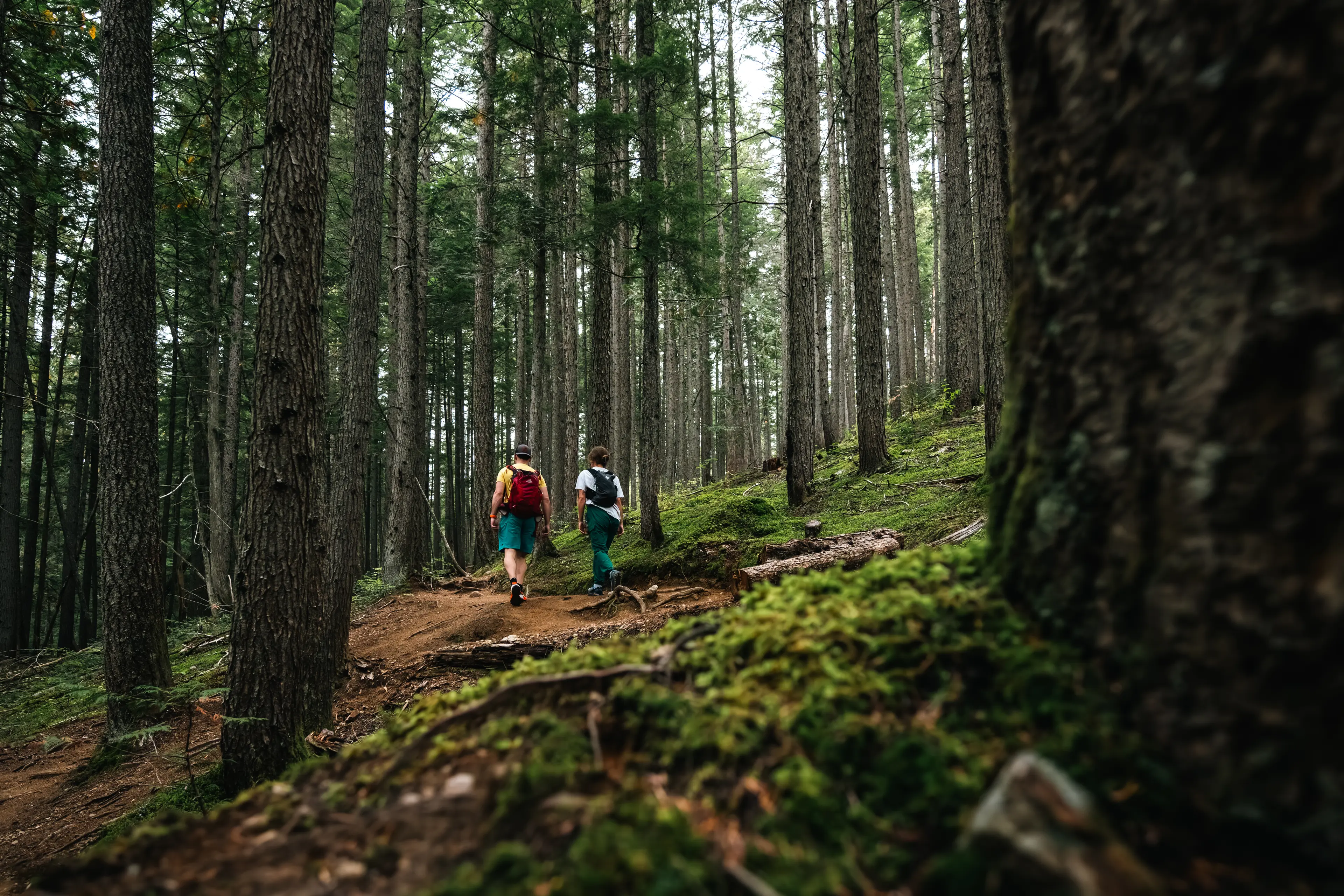 Tourism Revelstoke Guides