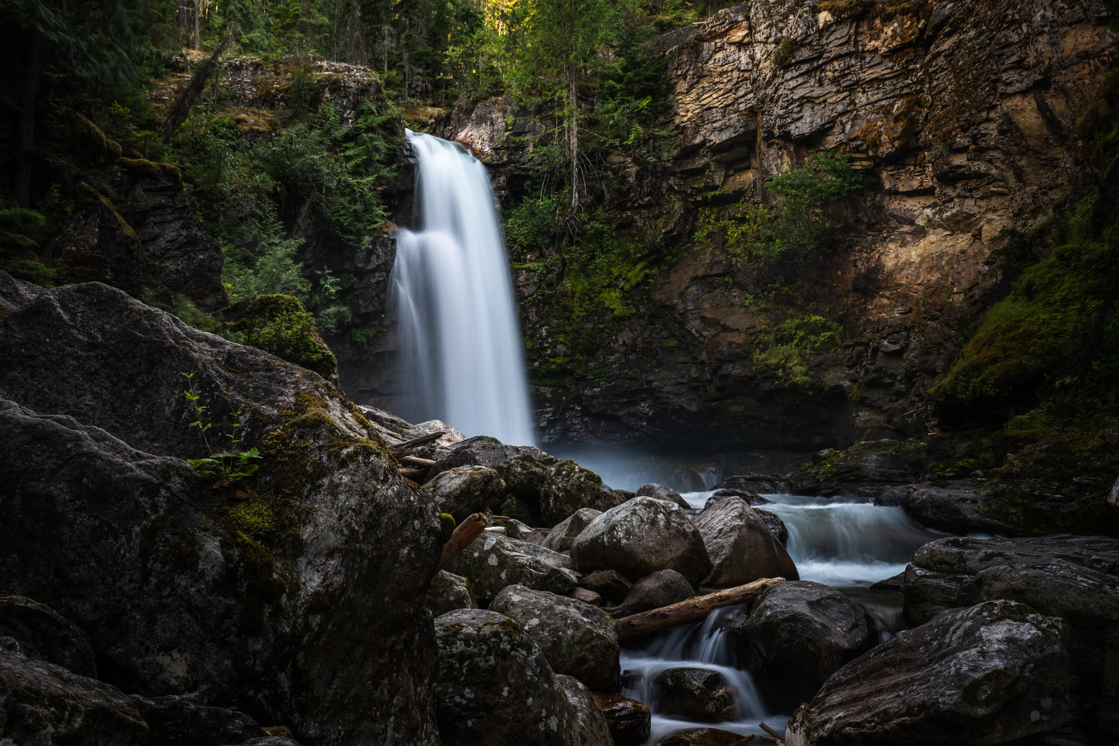 sutherland waterfall in rainforest