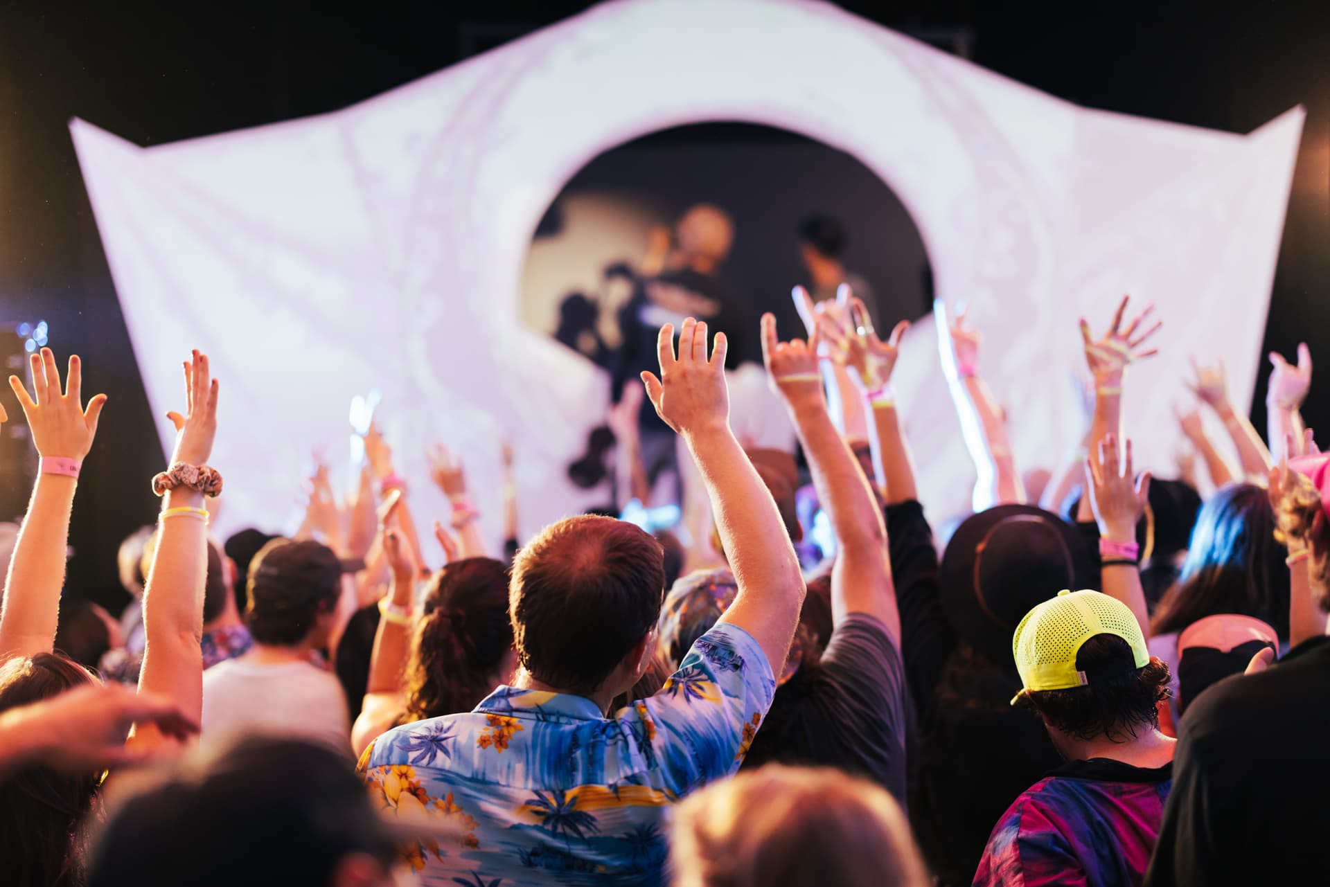 crowd with arms up