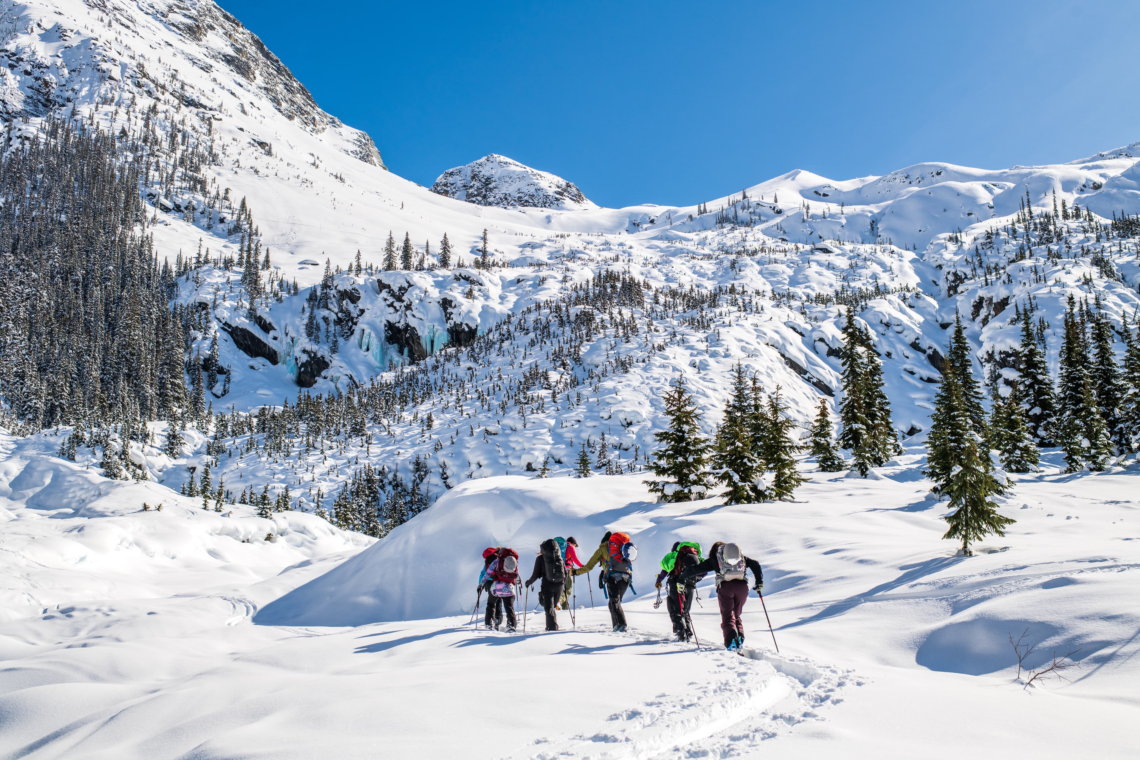 group of five going up skin track in mountain valley