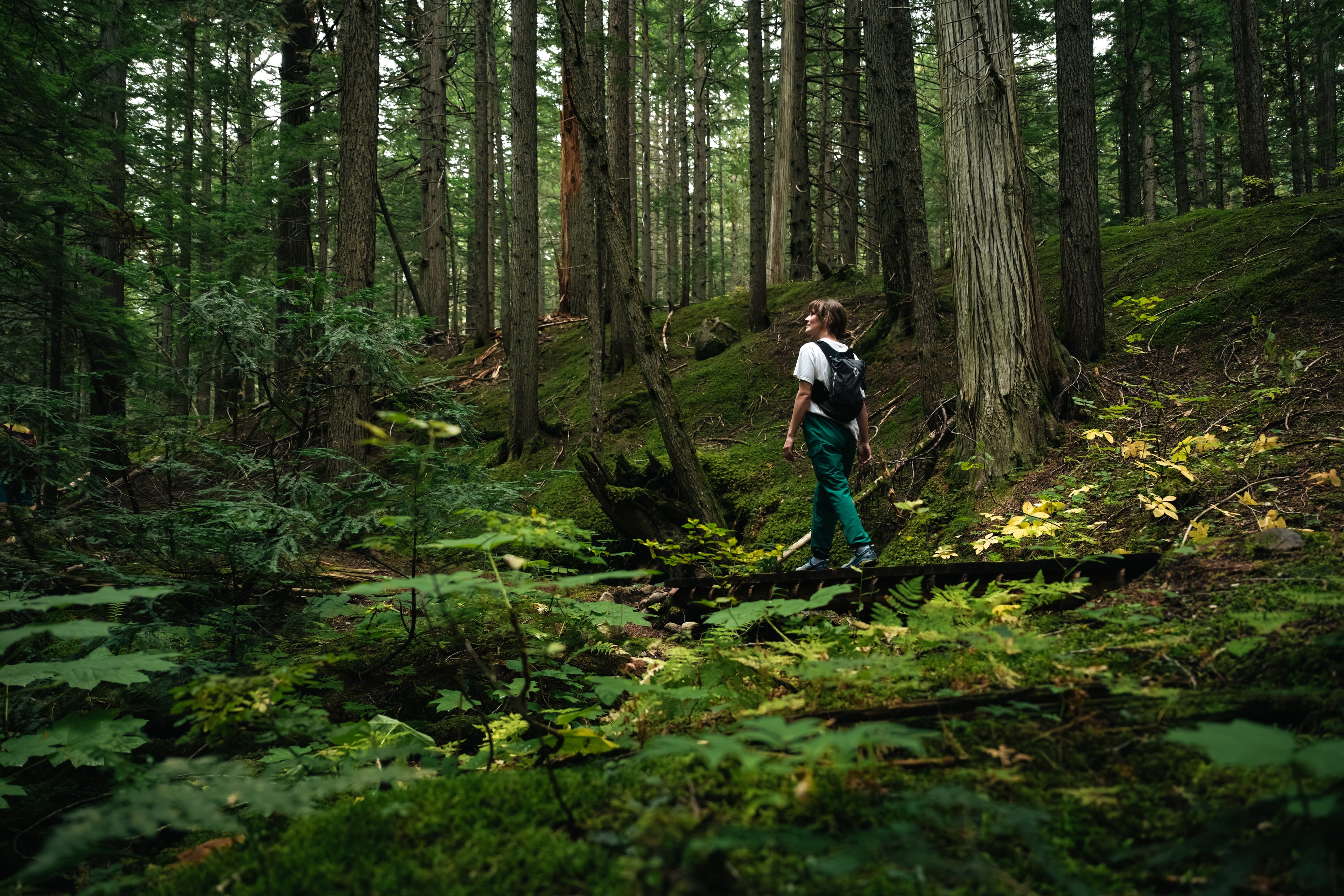 Tourism Revelstoke Guides