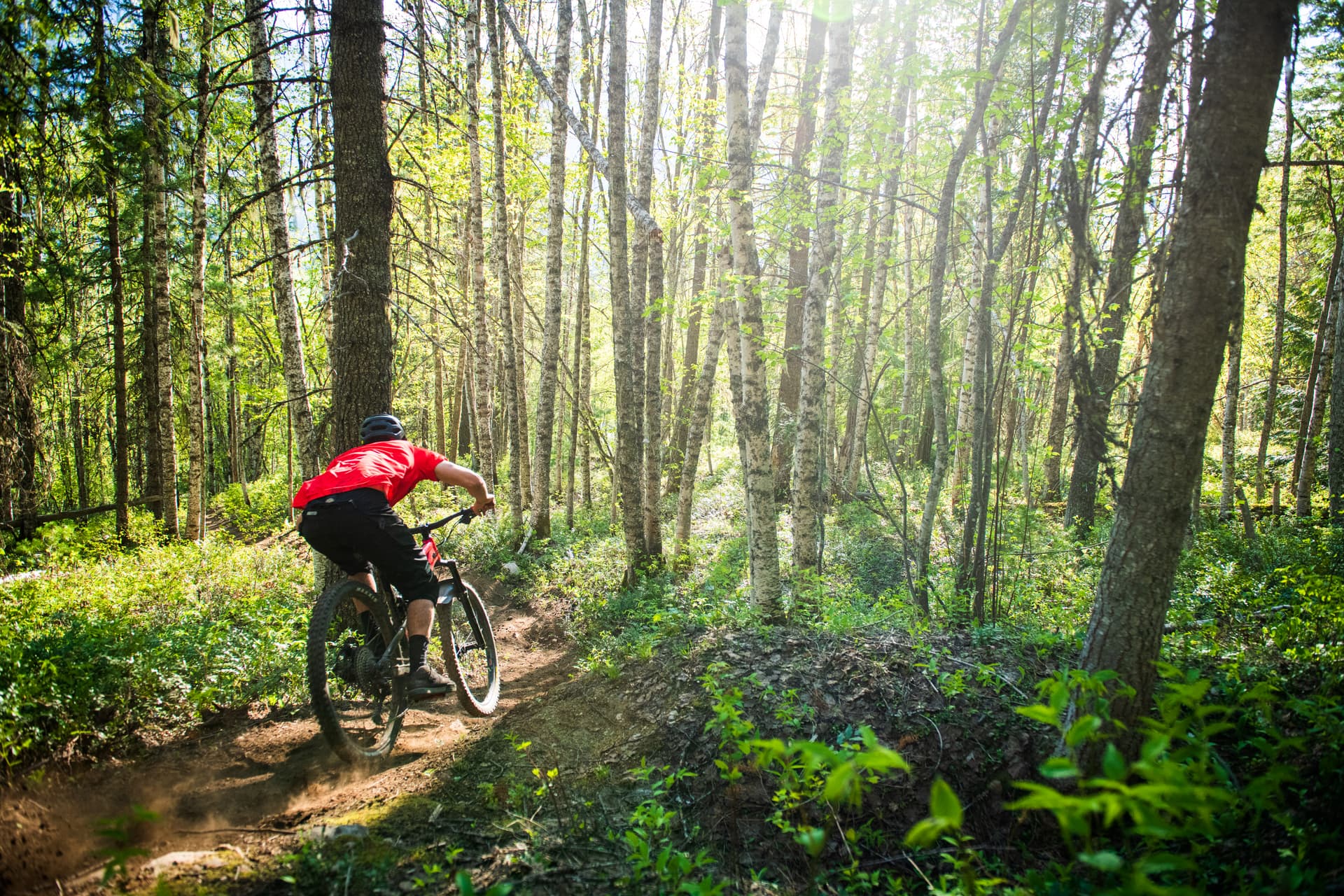 guy in party shirt mountain biking through lush forest