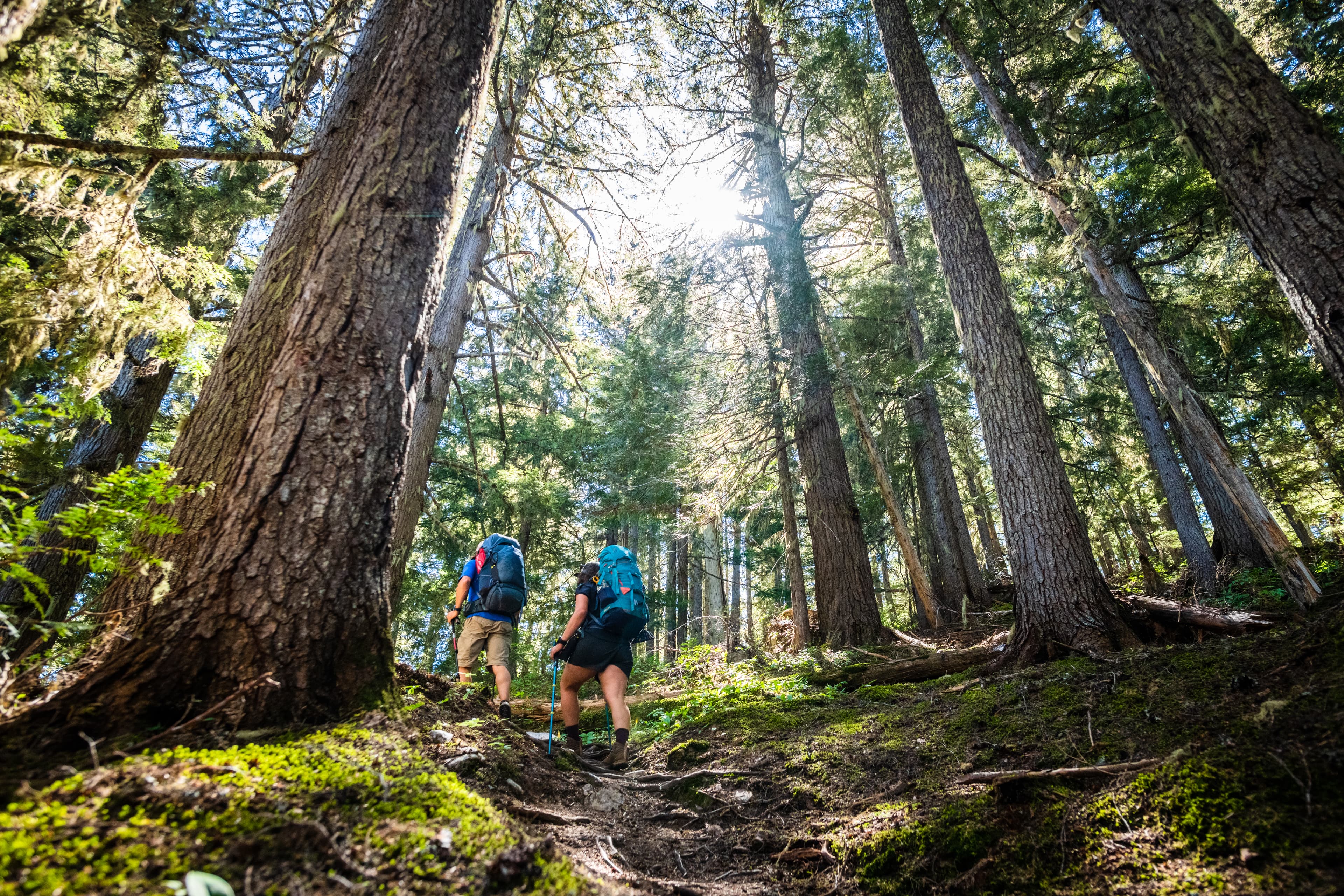 two people hiking up rainforest of mount begbie