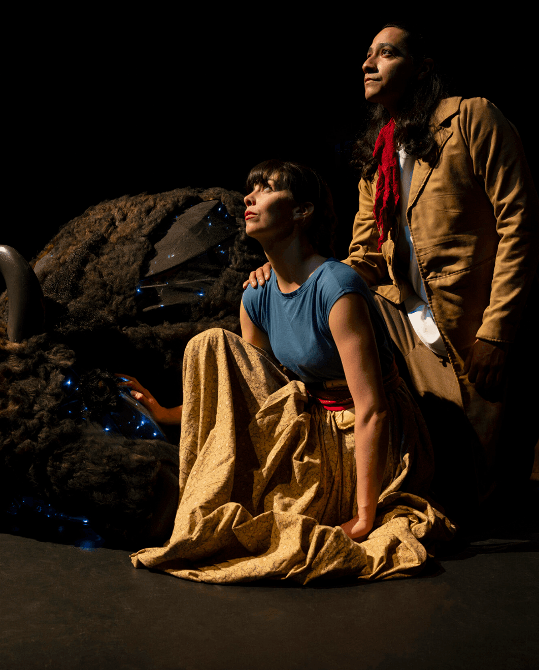 Family Performance Series: Where Have All the Buffalo Gone?