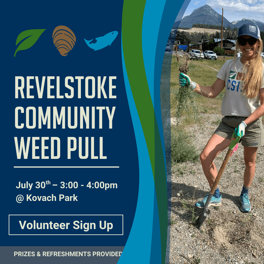 Revy Community Weed Pull