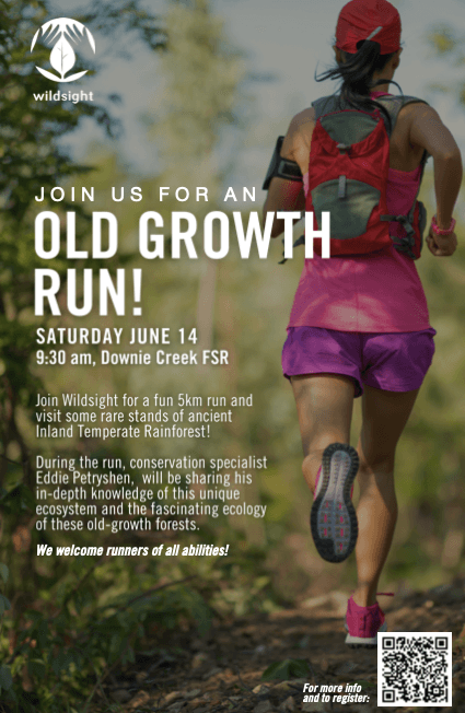 Old Growth Run