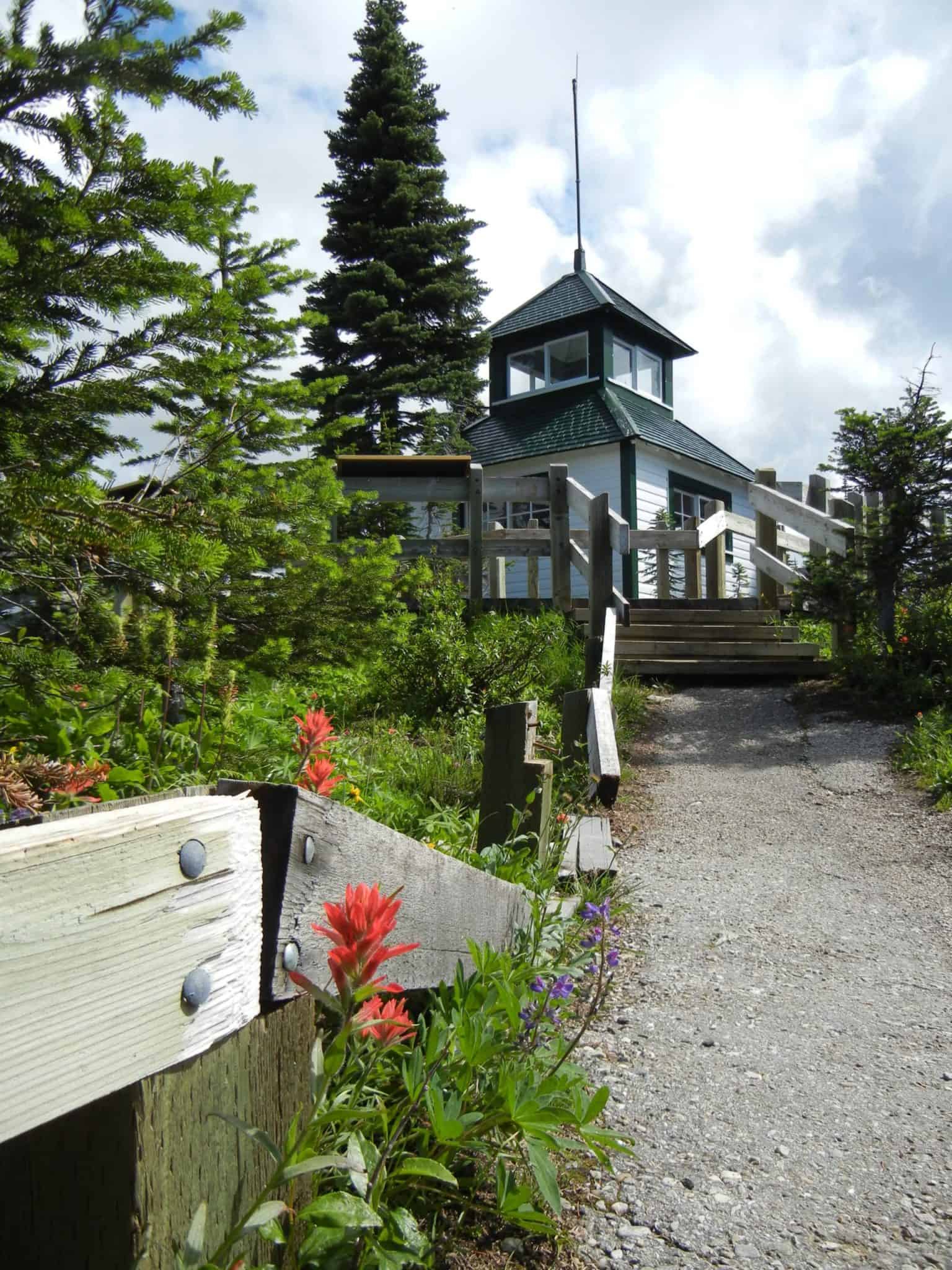 mount-revelstoke-national-park-summet-fire-tower-hiking