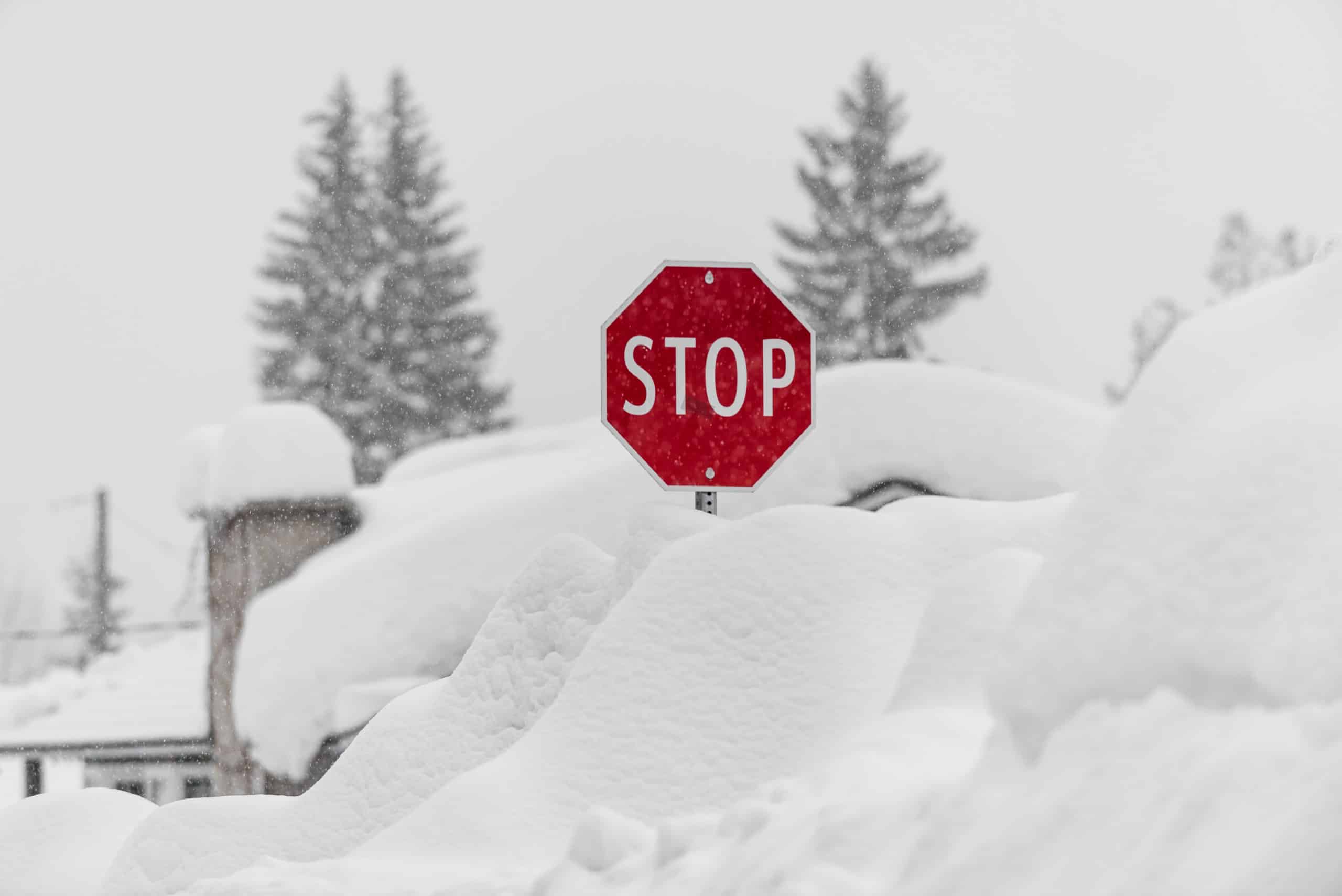 revelstoke-winter-vincent-schnabl-WEB-USE-ONLY (1)