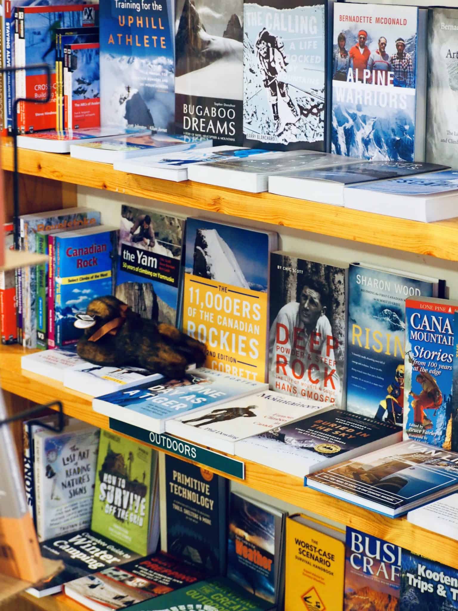 books-library-serendipity-bookshop-downtown