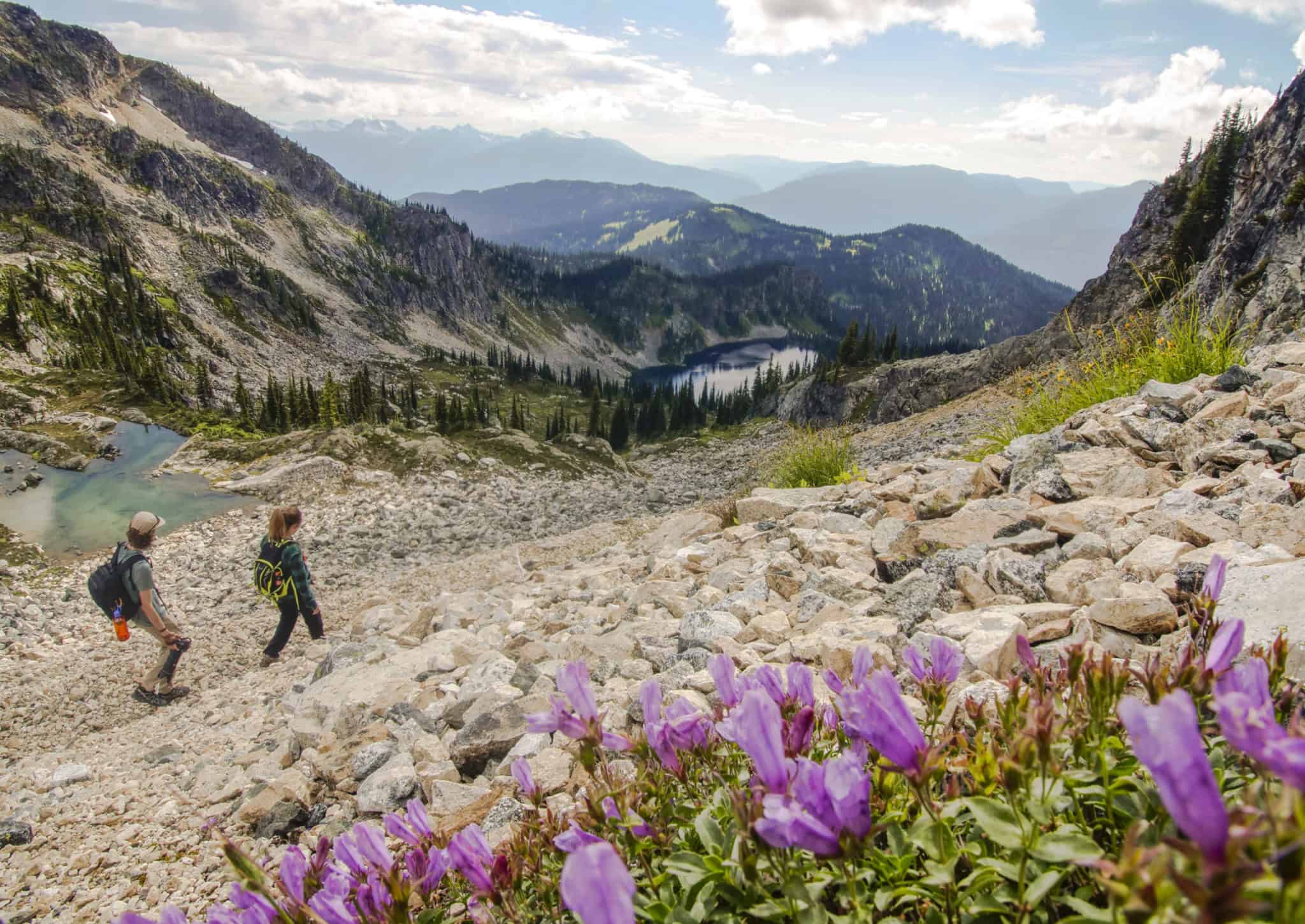 Revelstoke Mountain Trail Map Explore Hiking Trails & Map | See Revelstoke