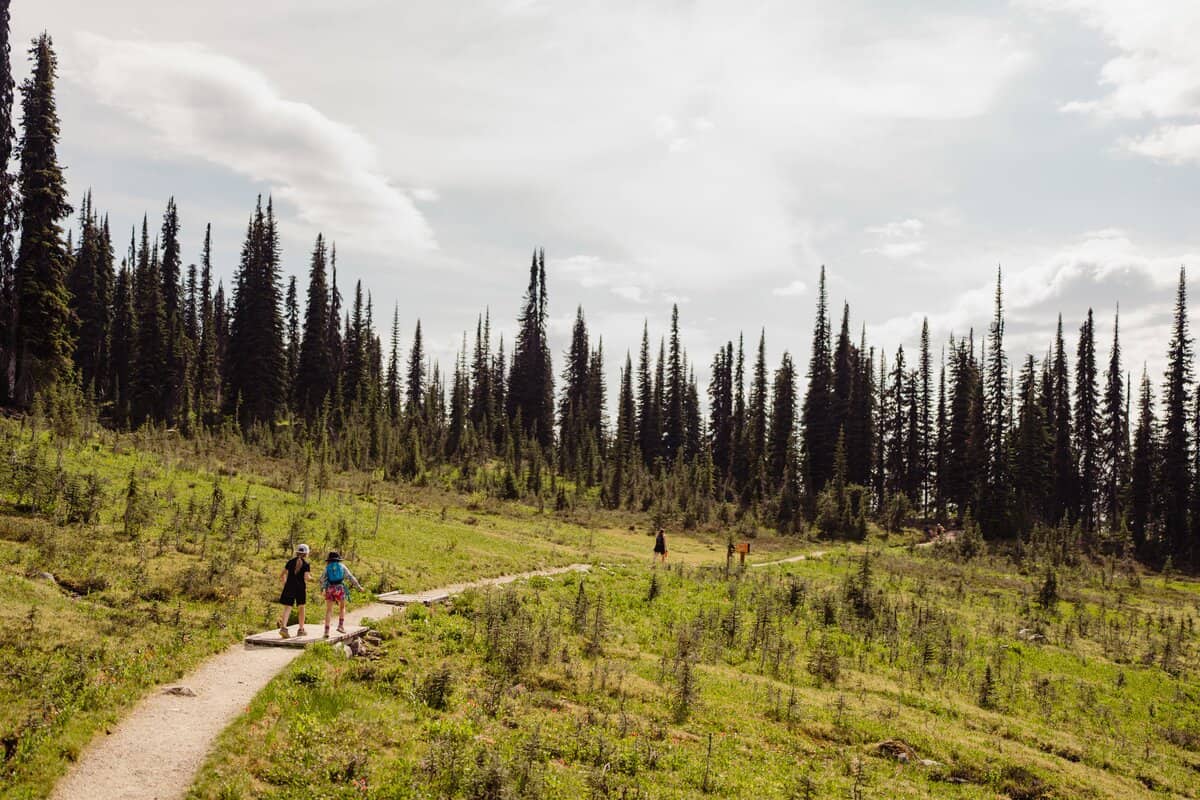 Hiking in Mount Revelstoke National Park | P Ben Walker