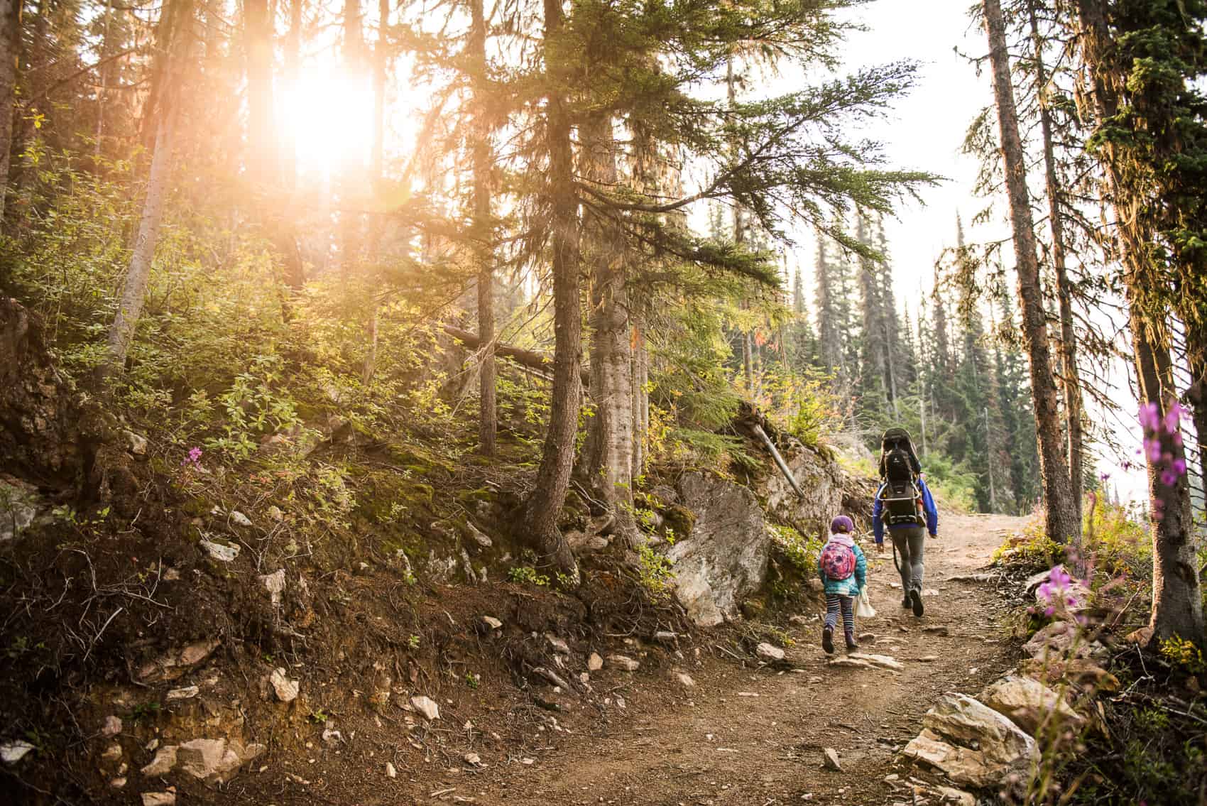 Family Hiking at Revelstoke Mountain Resort